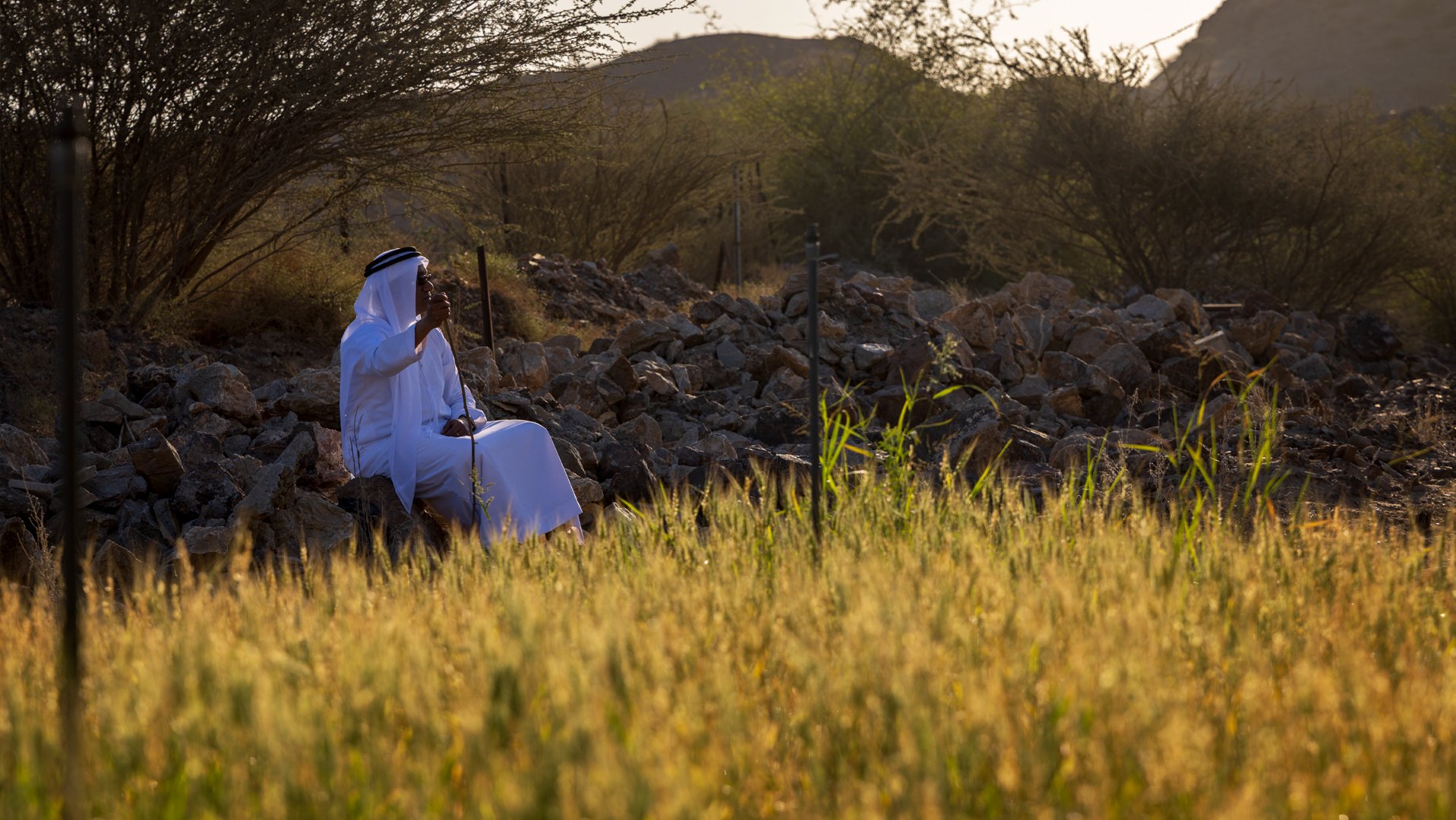 Ajman Photography Winning image