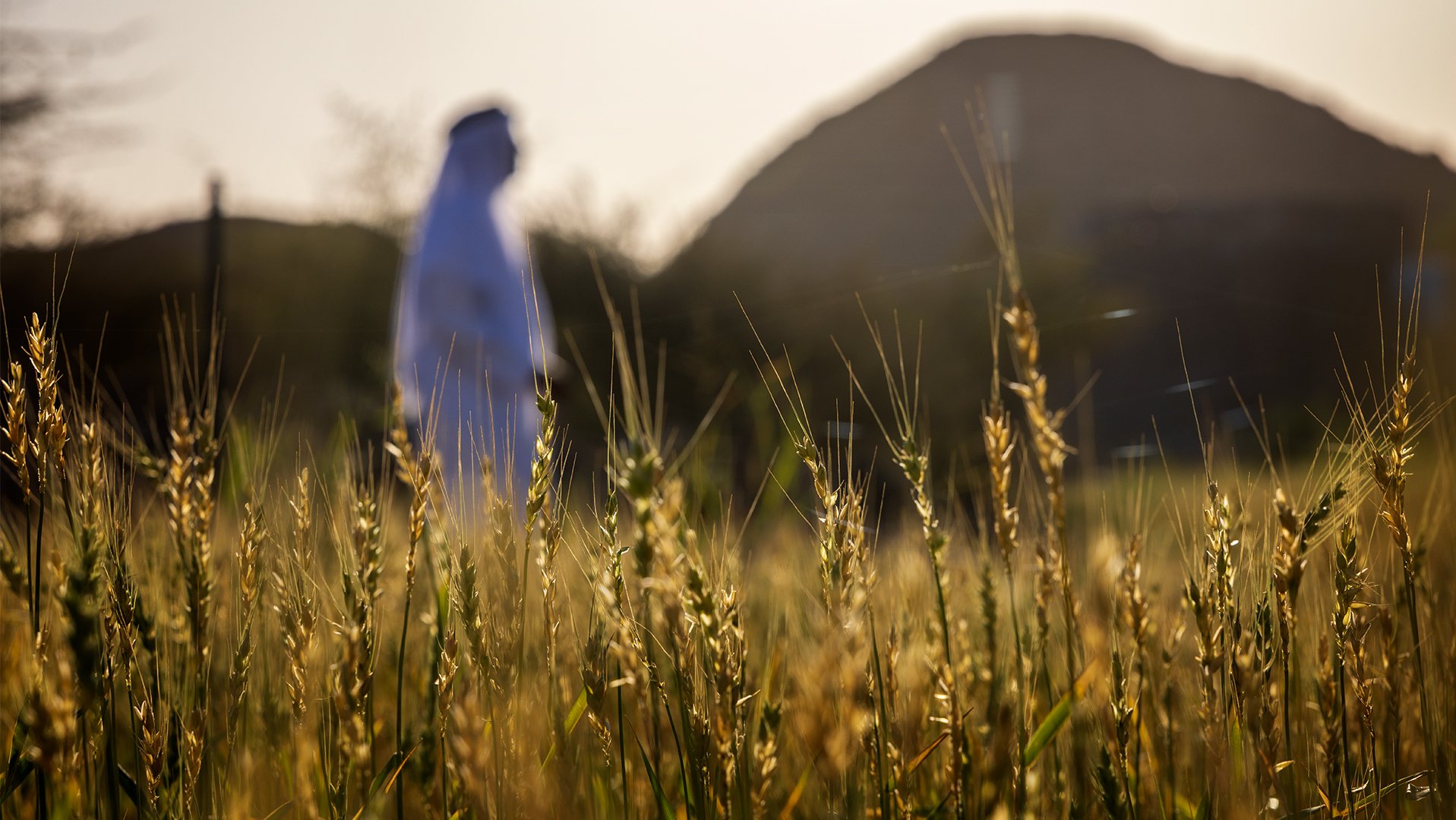 Ajman Photography Winning image