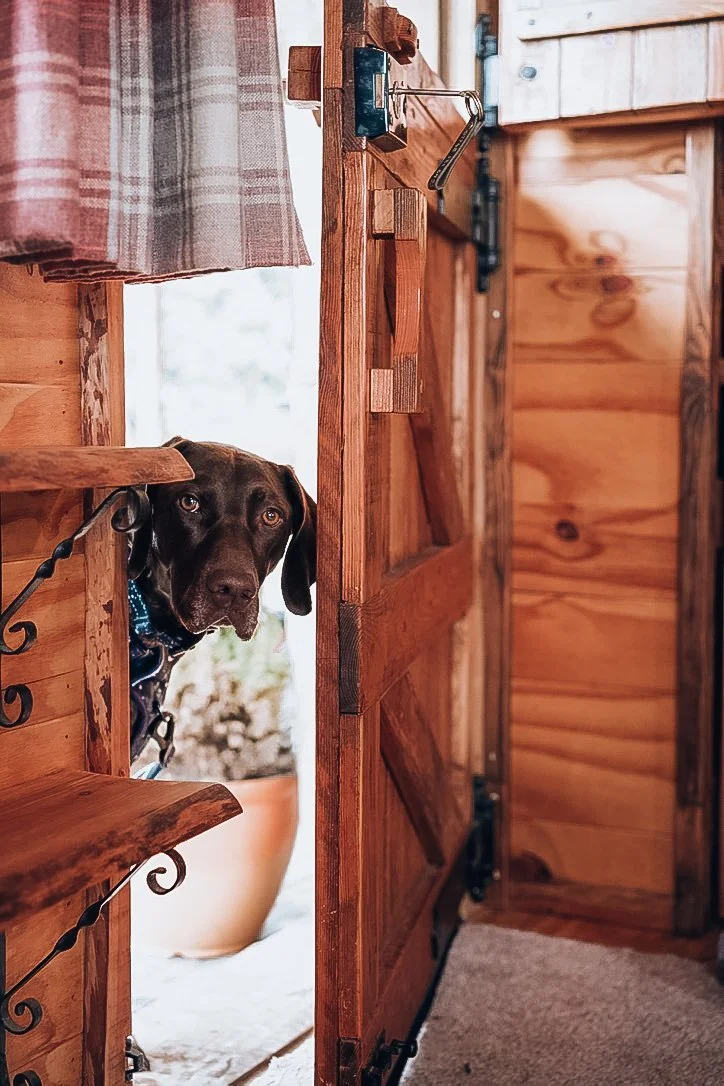 Dog friendly accommodation in Mid Wales at Coety Bach with enclosed garden and countryside walking near the Elan Valley.