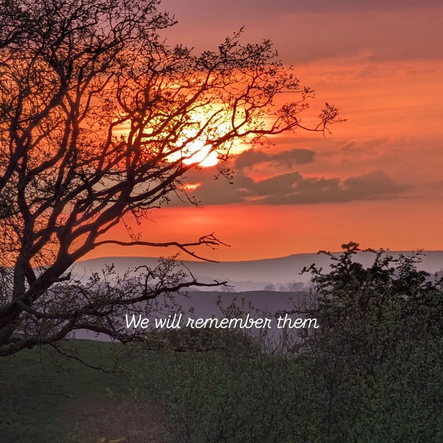 Taking a quiet moment here in the hills to remember them ❤️

The men, women and animals who gave so much. 

Grateful for the peace, beauty, and freedom we get to share with nature today. ❤️

🏴󠁧󠁢󠁷󠁬󠁳󠁿 🏴󠁧󠁢󠁷󠁬󠁳󠁿 🏴󠁧󠁢󠁷󠁬󠁳󠁿
.
.
.
.
.
.
.
