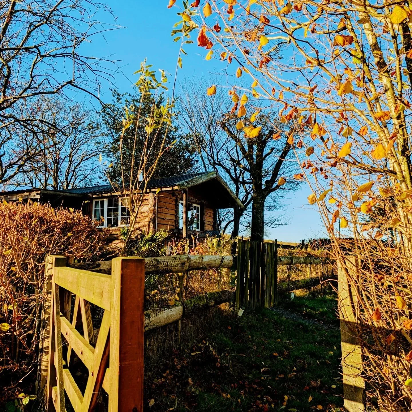 Hidden away on a Mid Wales hillside, you'll find Coety Bach. A cosy cabin for 2. 

With far-reaching views from every window and fresh Welsh air to breathe in. 

Walks from the door, stargazing, sunset views, a wood-Fired hot tub and more. 

What els