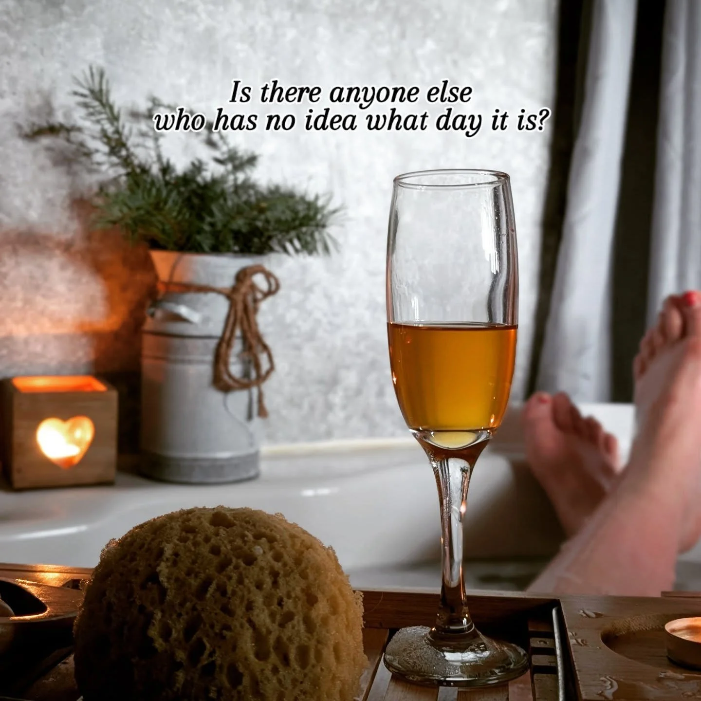 I have to admit, I had to ask the children today what day it was! They looked at me like I'd gone mad!! 

I knew we had a changeover this morning and that I needed to go to Tesco after, but the actual day of the week......no idea! 

Anyone else? Plea