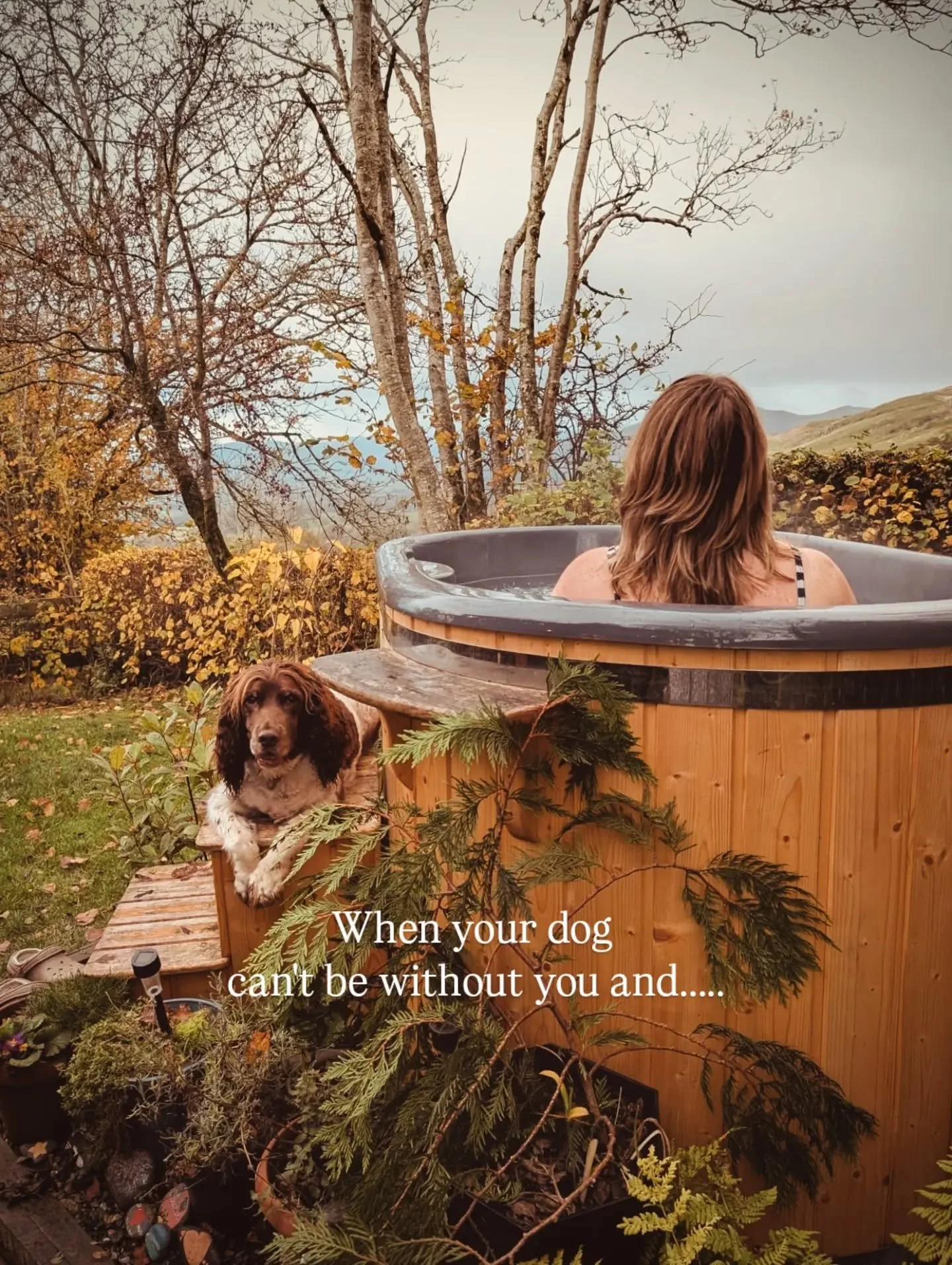 Do you take your dog on your adventures? 

Or do you leave them snoozing with their favourite sitter? 

Every dog is different. Jasper loved coming everywhere when he was younger, but these days he&rsquo;s happier staying with a sitter for longer wal