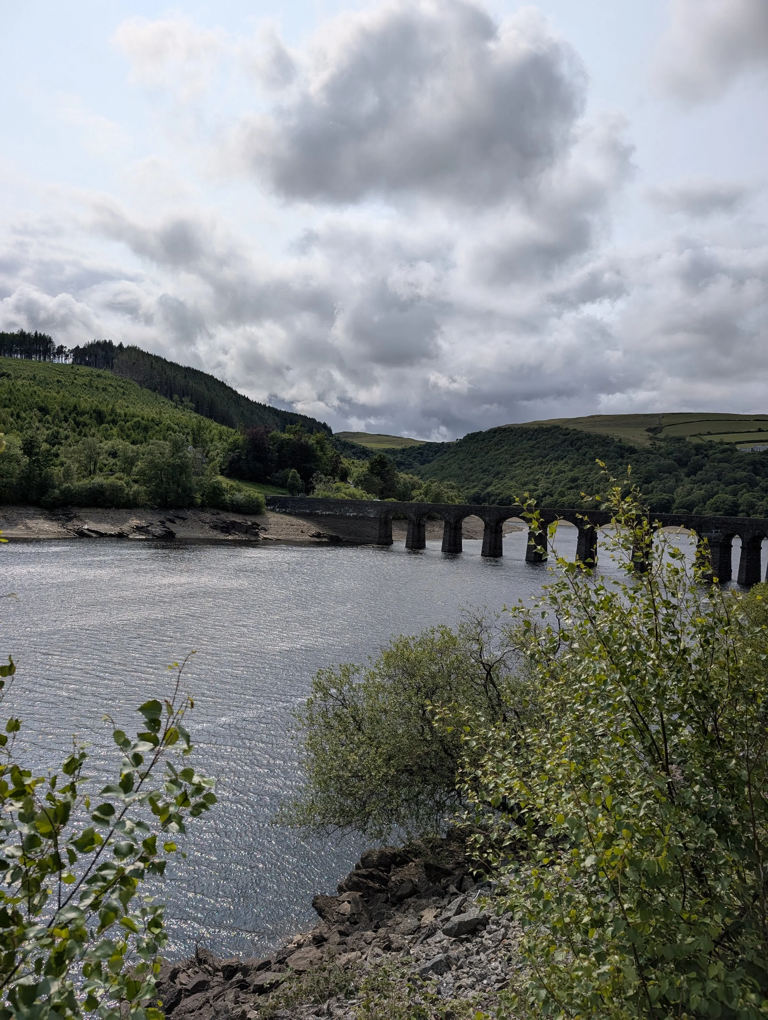 Couples, dogs and dark skies near Elan Valley