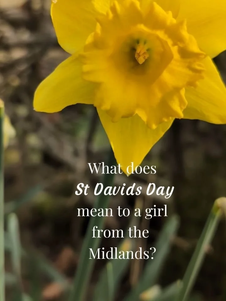 What does Saint David's Day mean to you? 🏴󠁧󠁢󠁷󠁬󠁳󠁿

If you are celebrating St. Davids today, You don't have to be Welsh, you don't have to be wearing a daffodil. 

For me, it's a celebration of this wonderful rugged, green and  beautiful land I 