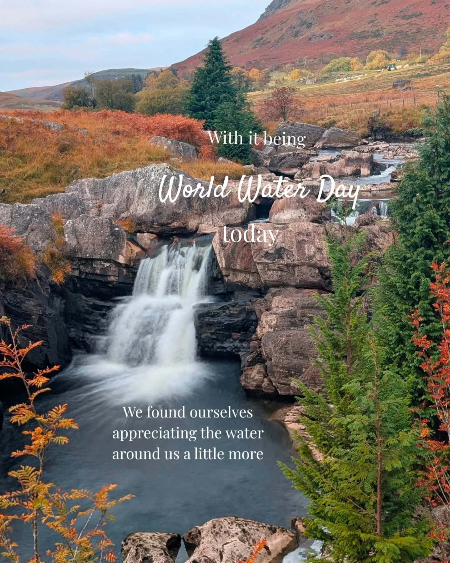 From rushing rivers to slow moments at the cabin. 🏴󠁧󠁢󠁷󠁬󠁳󠁿

#WorldWaterDay
#ElanValley
#MidWales
#CabinLifeUK
#SlowMoments