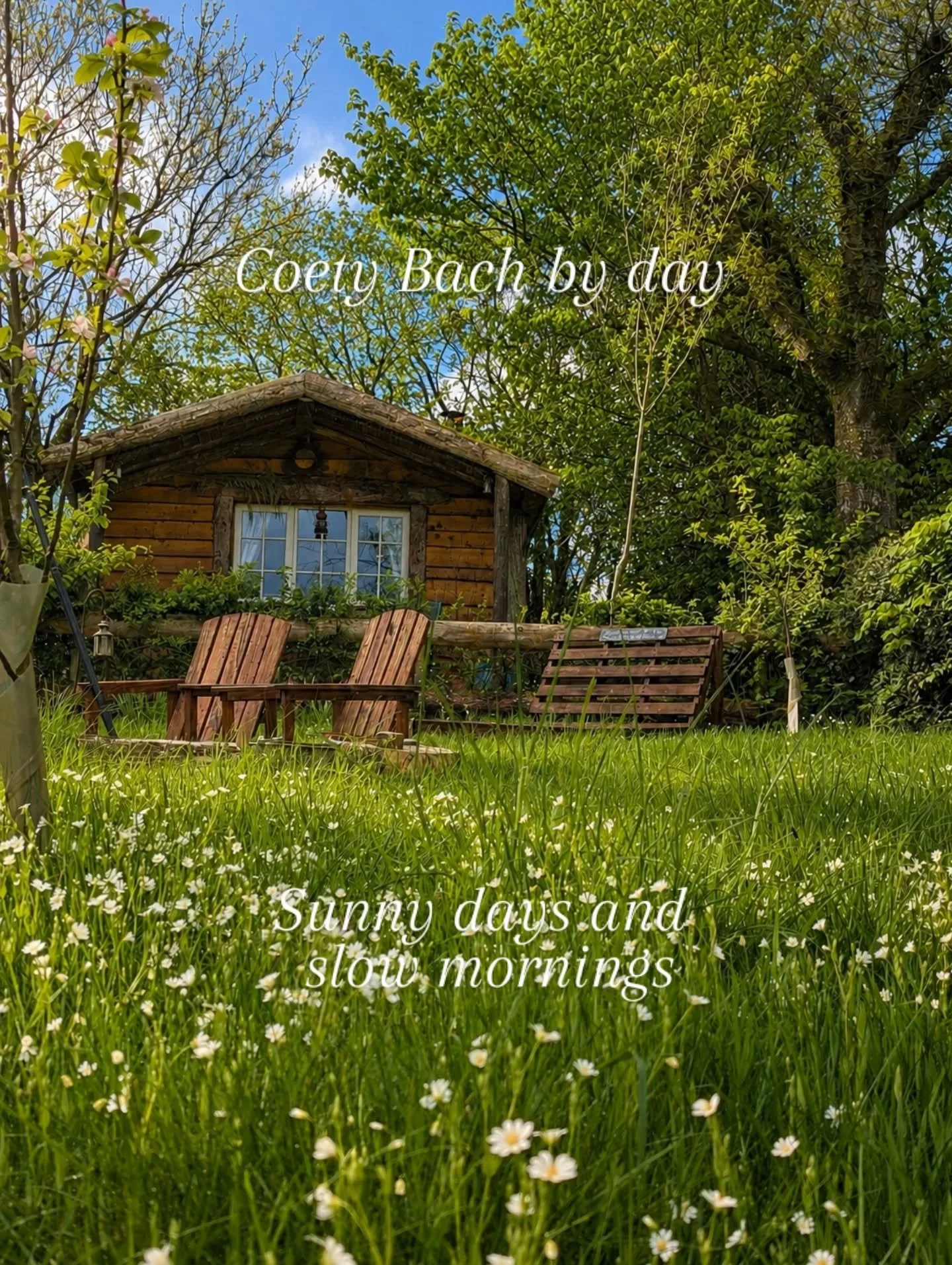 Coety Bach. ❤️🏴󠁧󠁢󠁷󠁬󠁳󠁿❤️

Two completely different moods, same little cabin in the Welsh hills.

#DarkSkiesWales
#MidWalesEscape
#CabinGetaway
#StargazingWales
#RomanticRetreatWales