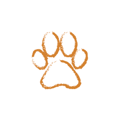 Orange paw print on a white background with a black border