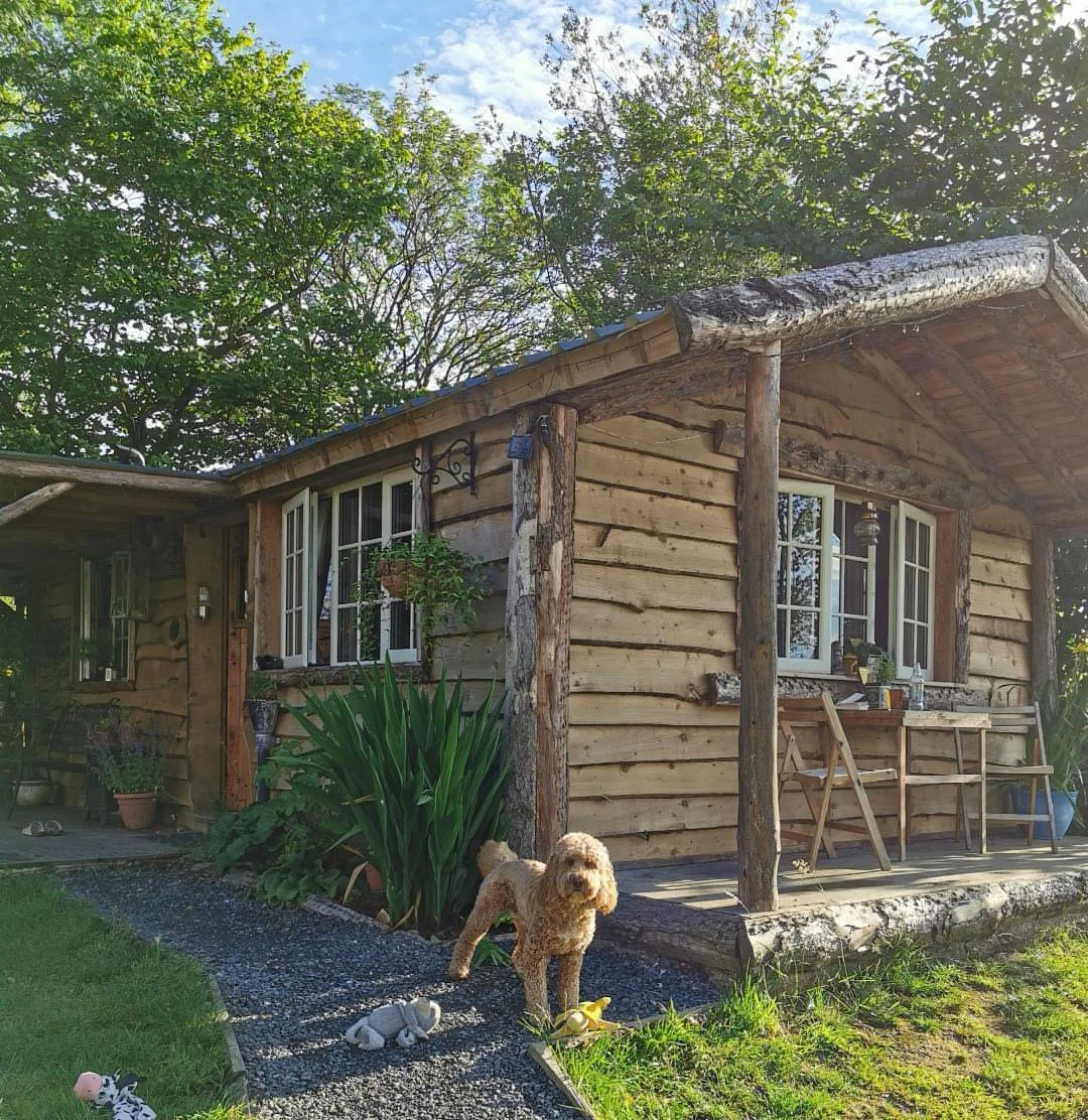 A rustic wooden house with a small porch, surrounded by greenery, with a dog standing on the gravel path near some garden plants, toys, and outdoor furniture.