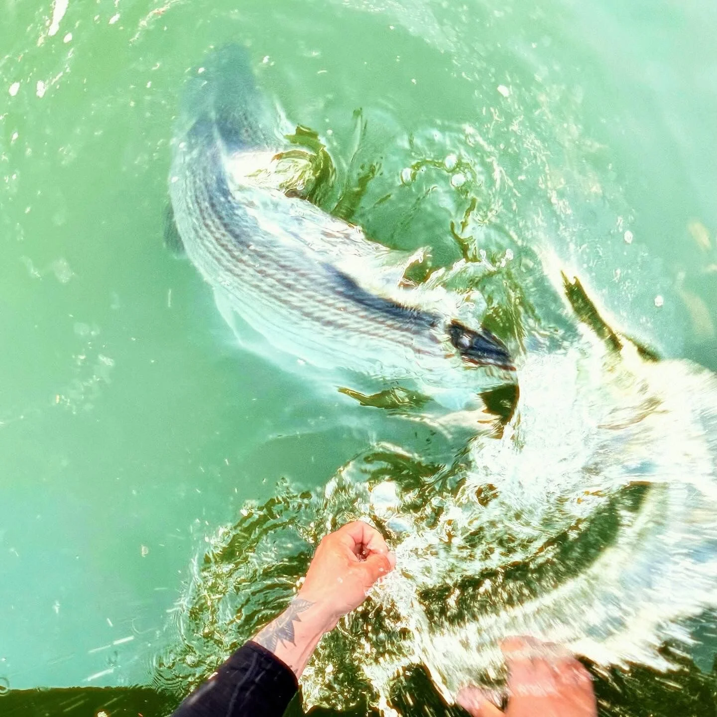 Schaefer Fly Fishing-01.jpeg