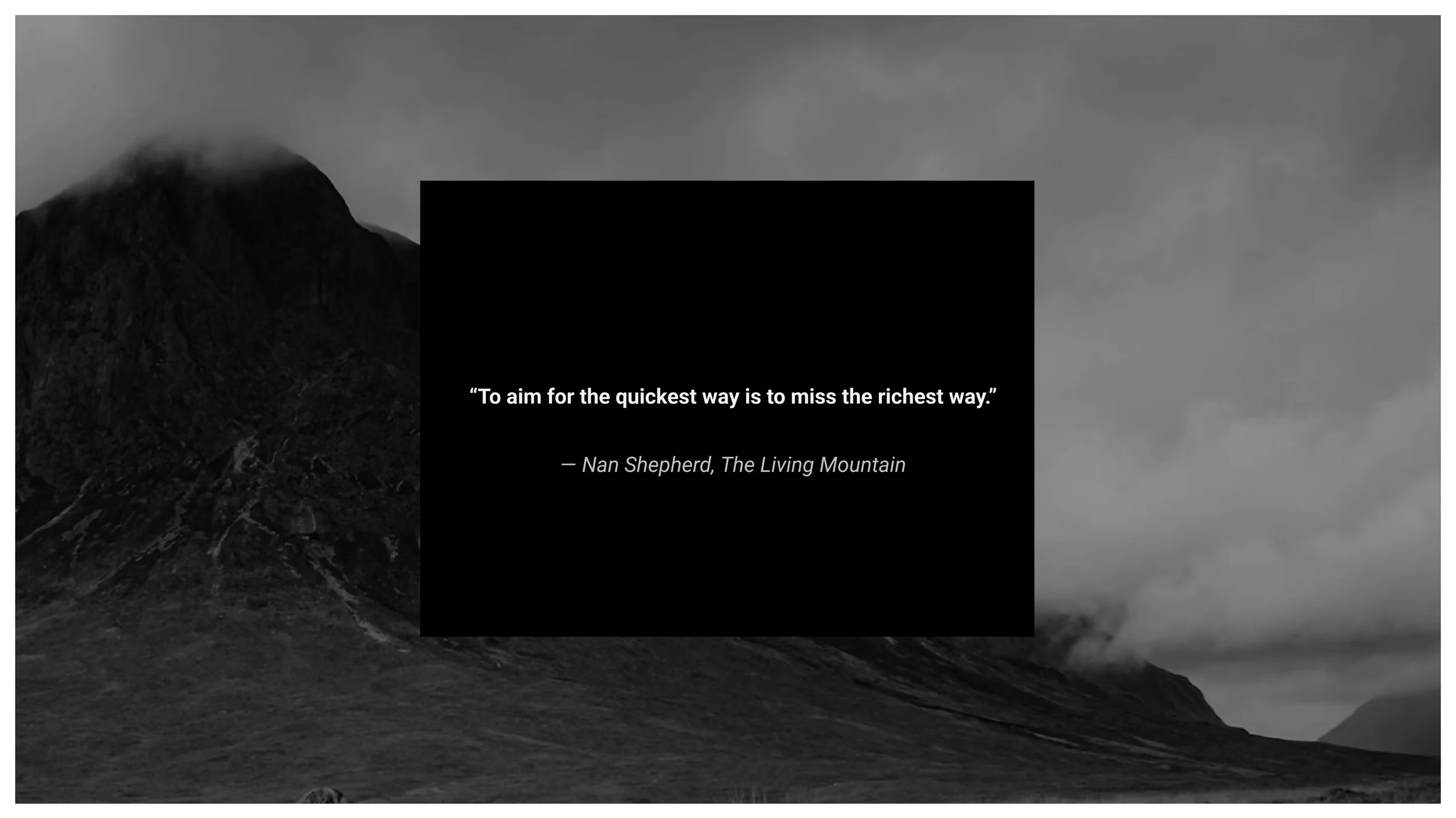 Forgotten luxury - AM11.jpg