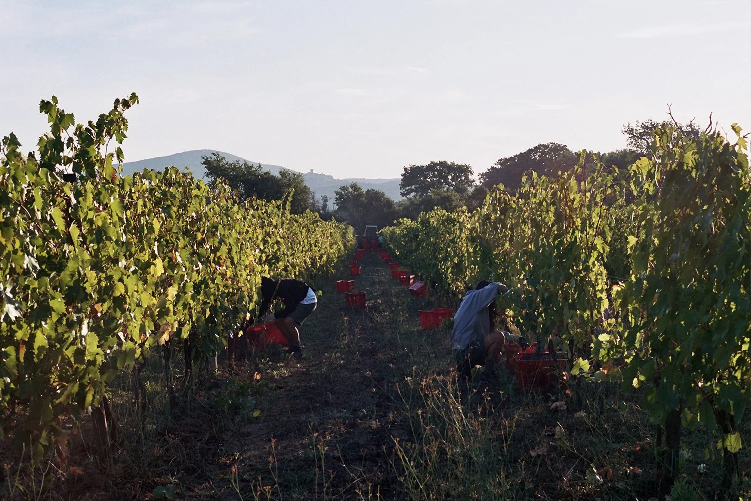 11A_0087_photo Lina Huring.jpg