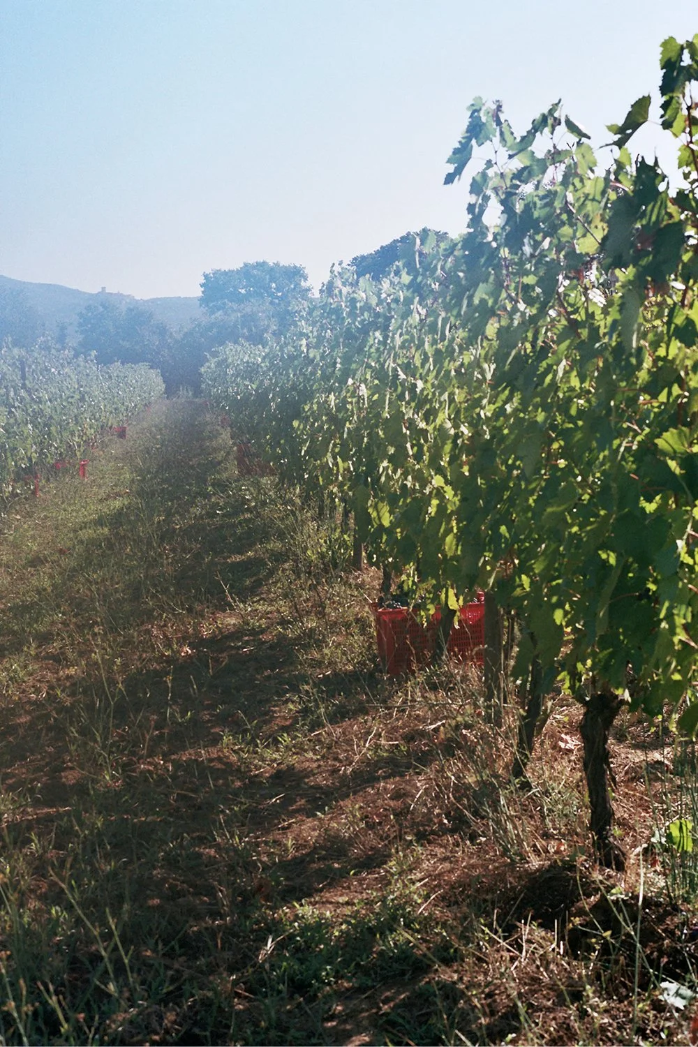 31A_0107_photo Lina Huring.jpg