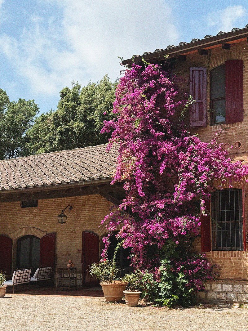 ilpingro-casacometa-facciata-02.jpg