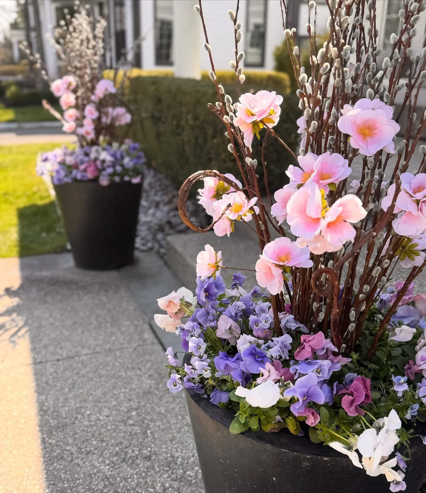The sweetest little pansy mix to kick off our 2026 spring planting season!

Spring installs are officially underway! Can&rsquo;t wait for all the beauty this season brings 💗🌷

#springplanters #containergardening #pansies #springflowers #planterdesi