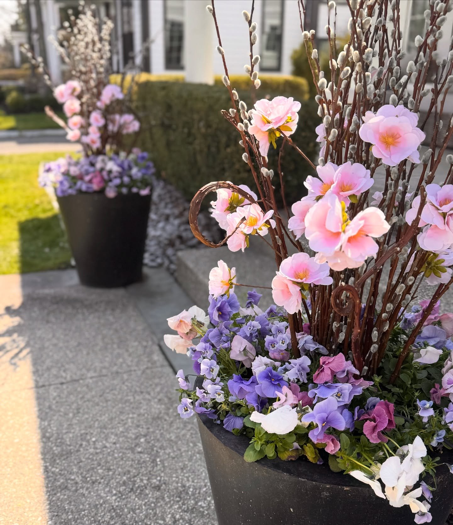 The sweetest little pansy mix to kick off our 2026 spring planting season!

Spring installs are officially underway! Can&rsquo;t wait for all the beauty this season brings 💗🌷

#springplanters #containergardening #pansies #springflowers #planterdesi