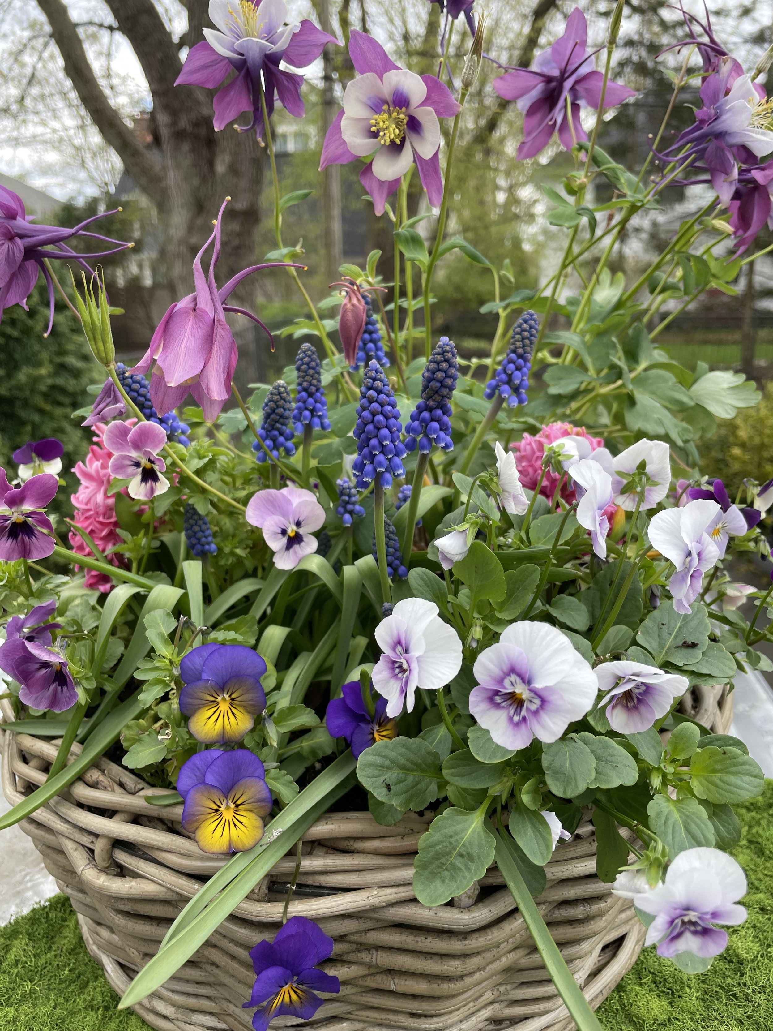 spring close up.jpg
