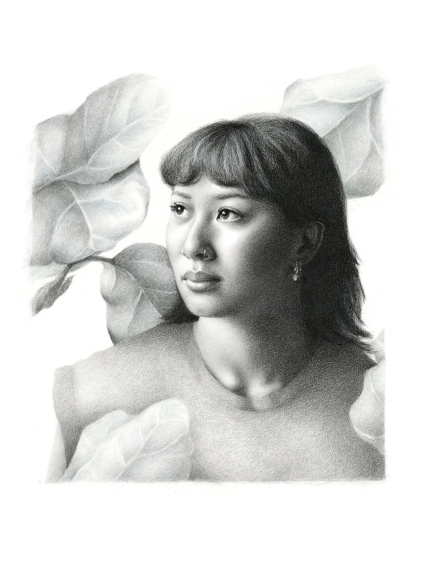 Jasmine (charcoal and watercolour pencil on paper)