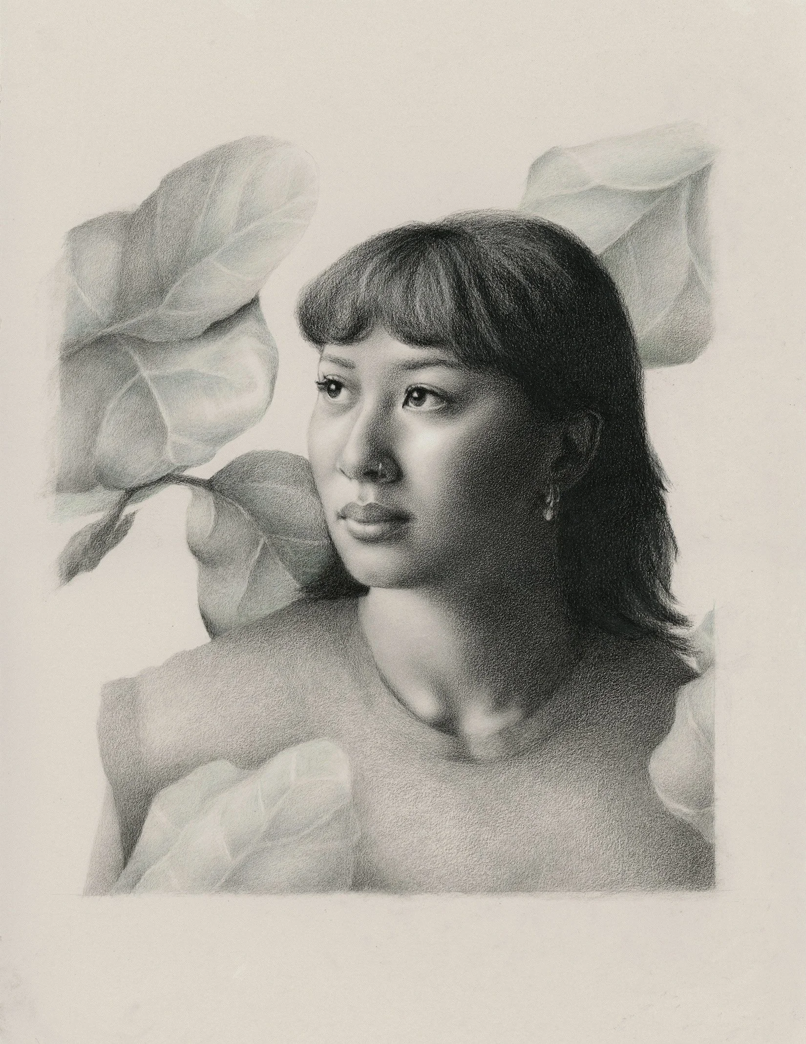 Jasmine (charcoal and watercolour pencil on paper)