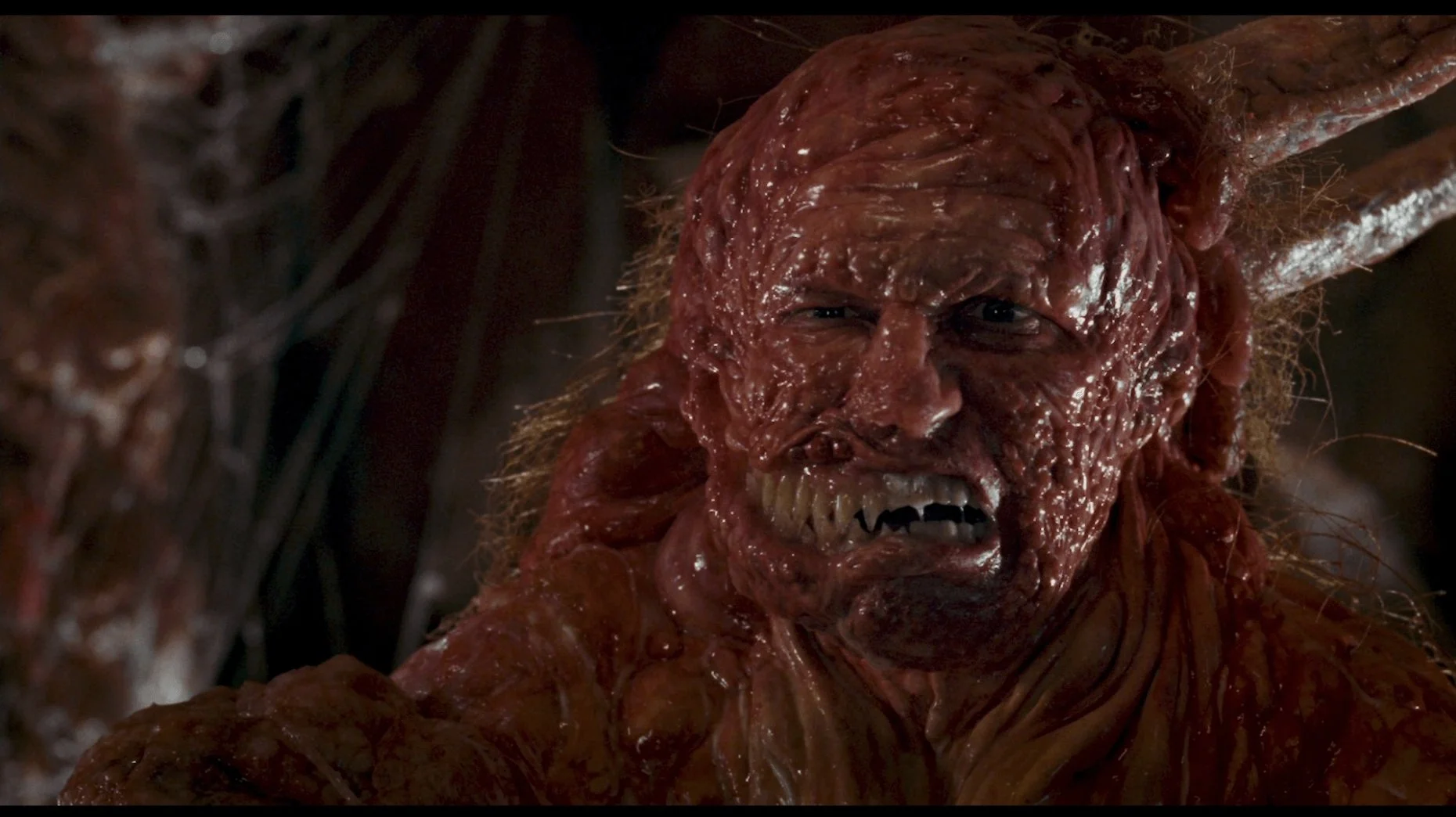 SLITHER