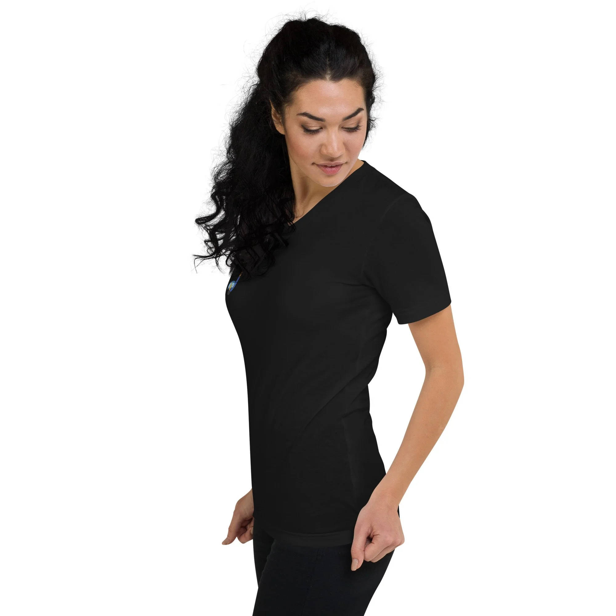 unisex-v-neck-tee-black-left-front-672cadc1c5e82.jpg