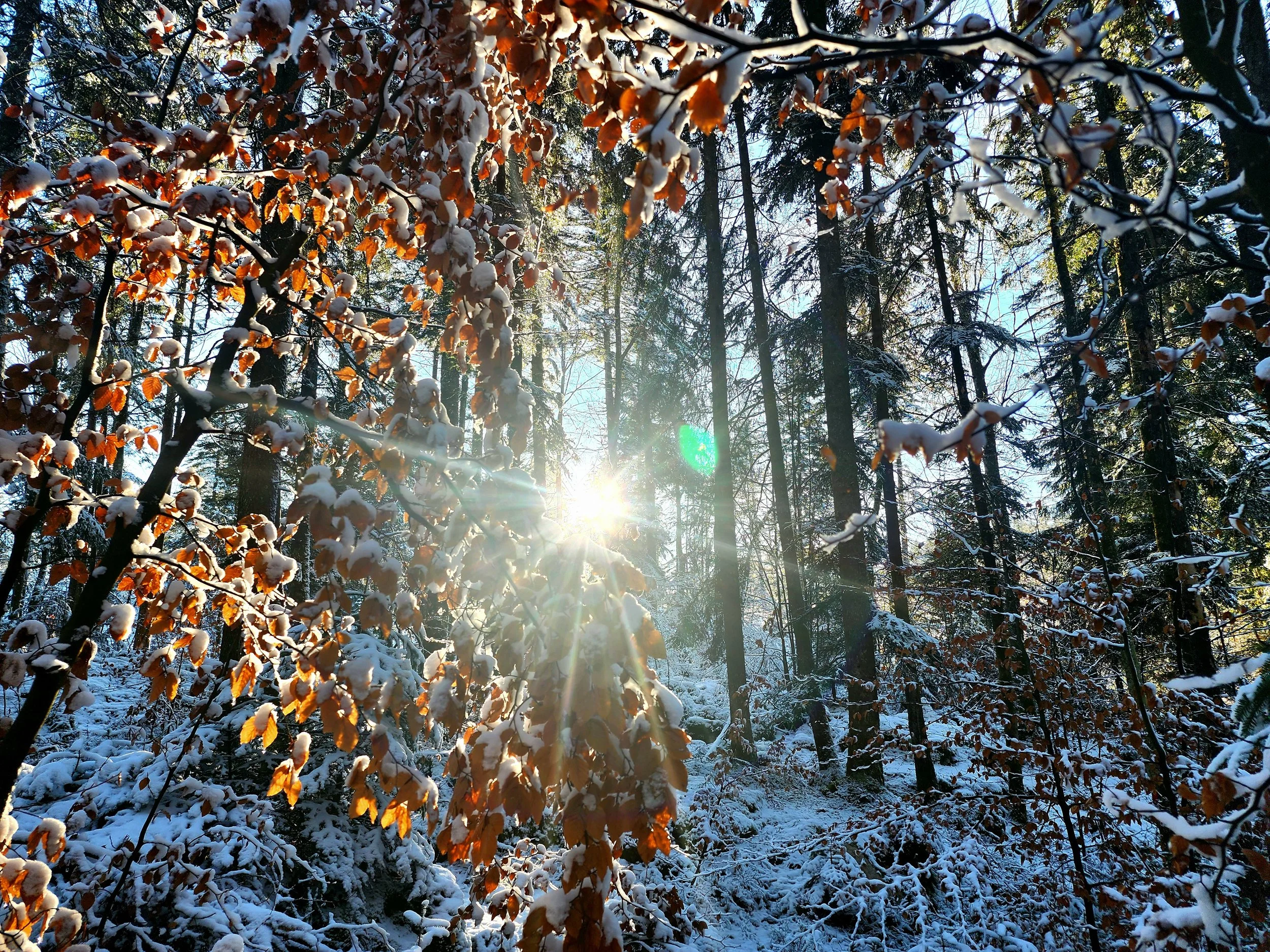 20240121_154723.jpg