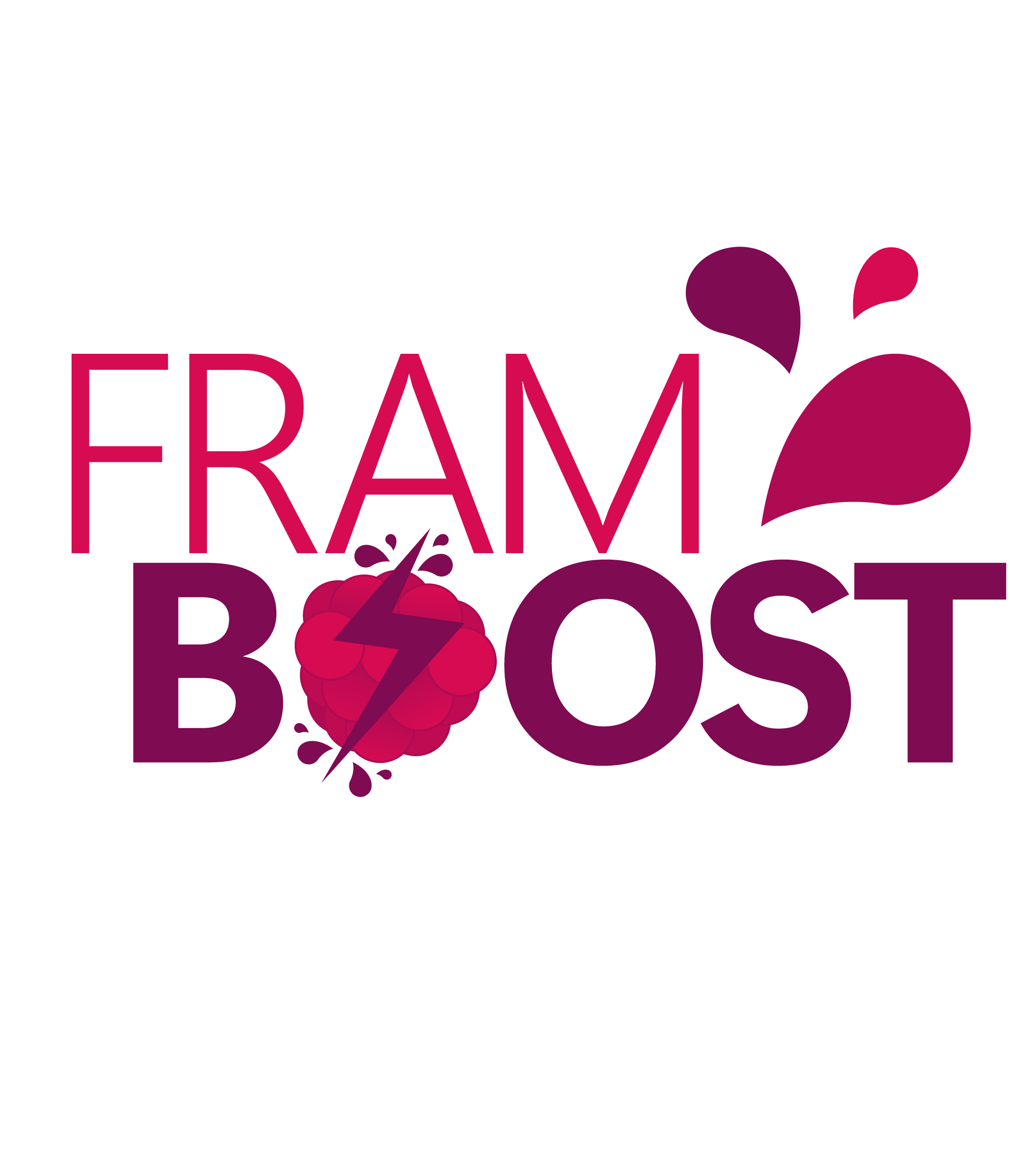 FRAM BOOST ILLUS LOGO.png