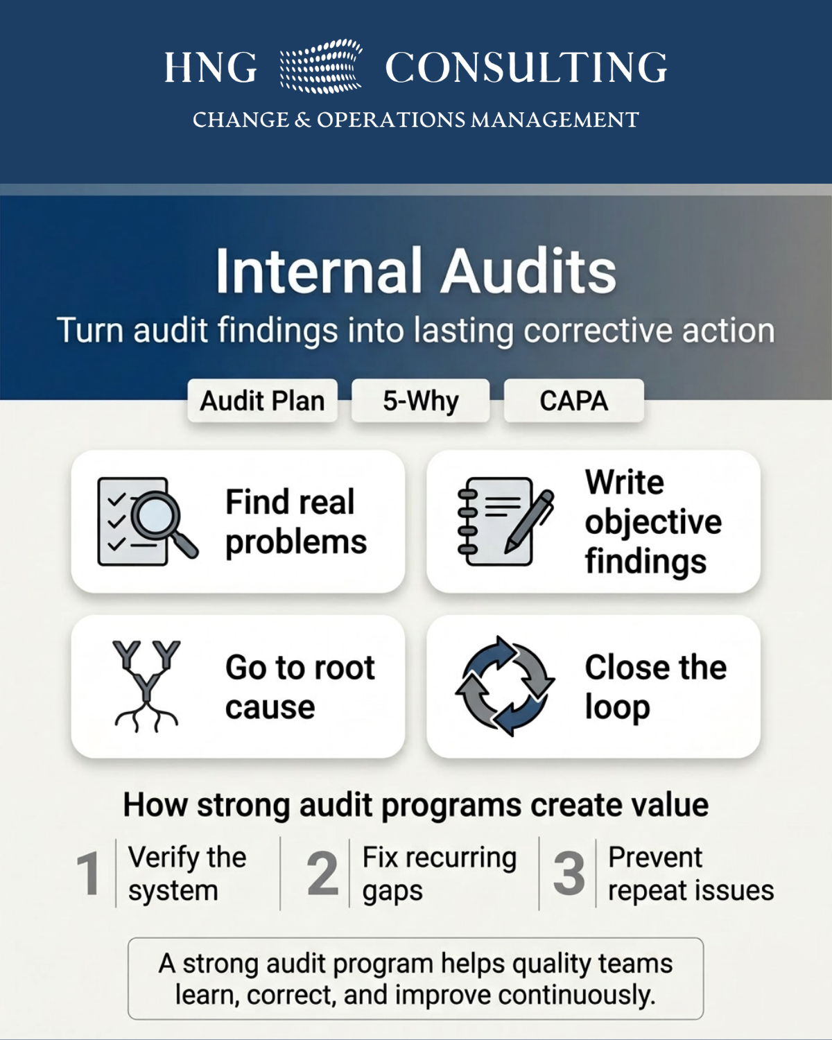 Audit & CAPA.png