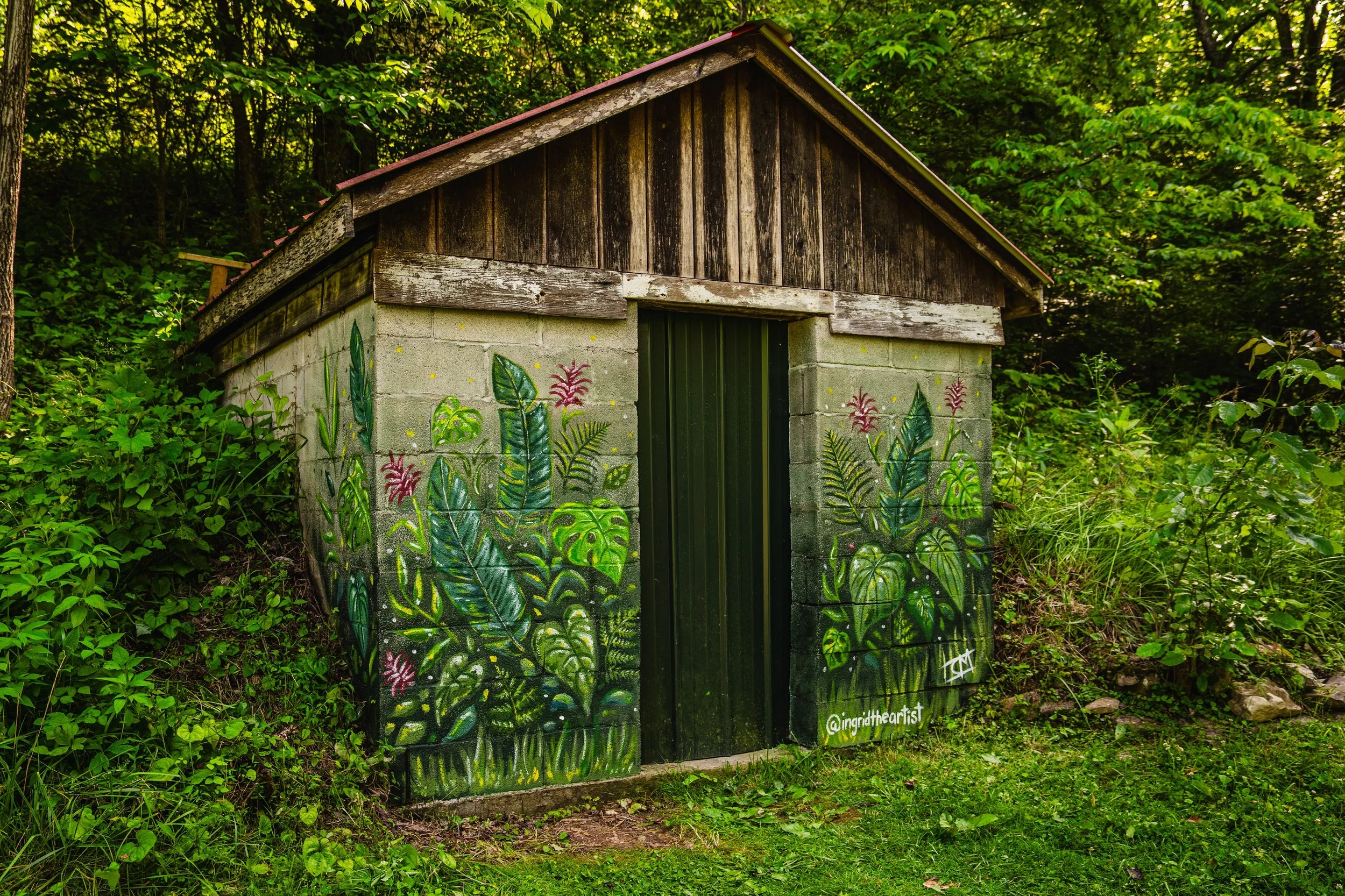 Cave Creek Murals