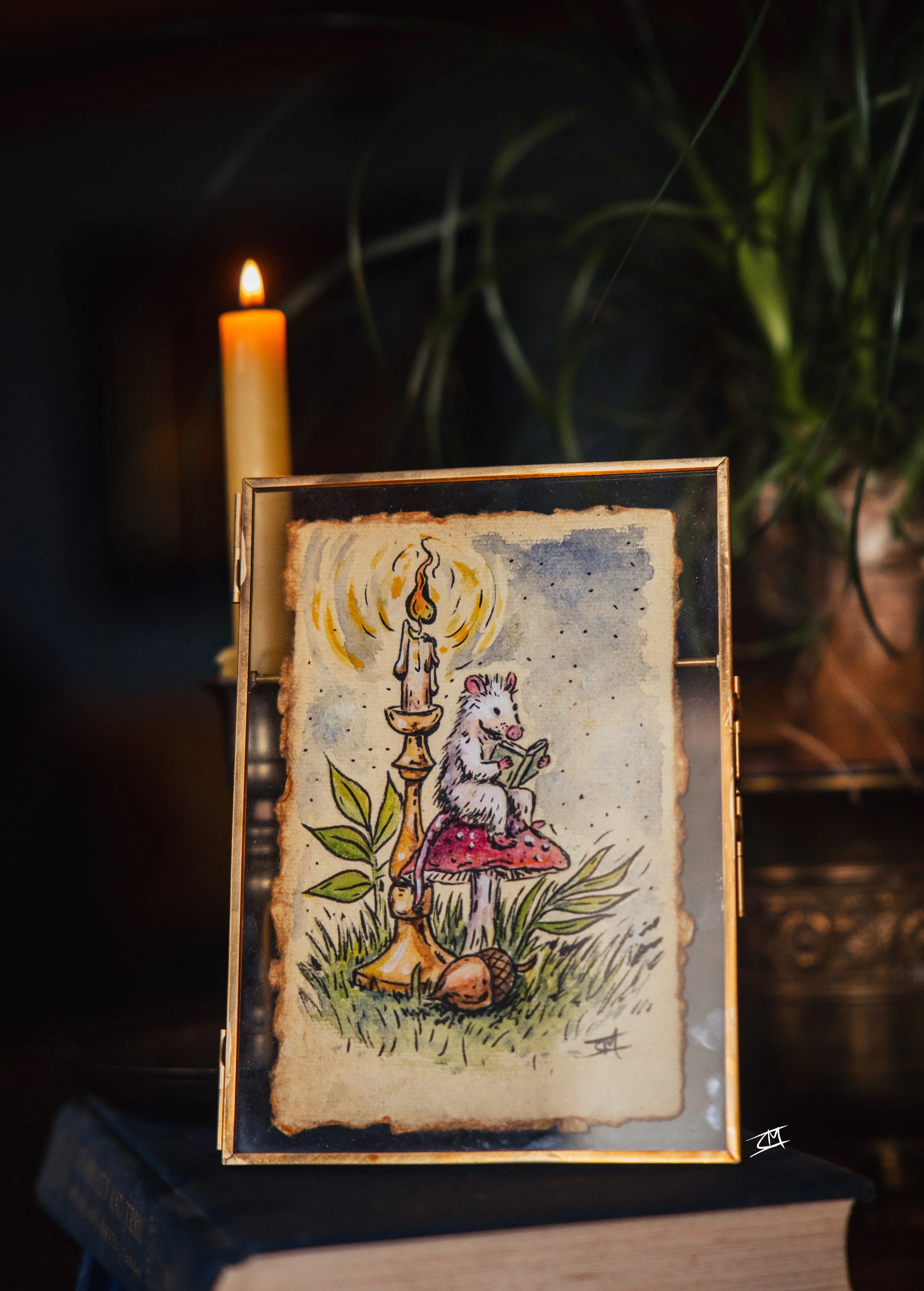 Framed watercolor painting of a opossum reading a book sitting on a mushroom