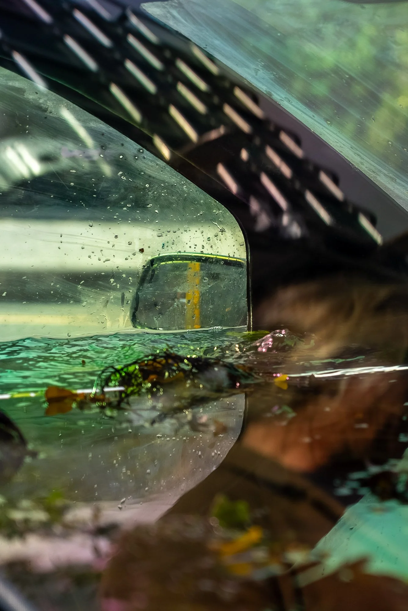 Sea for Yourself_David Cotterrell_Car-110.jpg