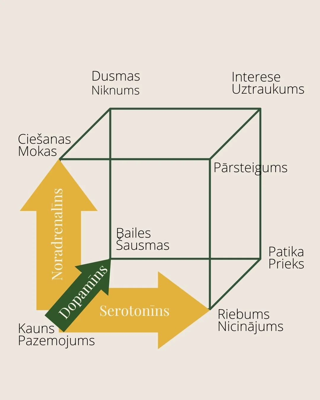 Kas ir emocijas? Nozīme, funkcijas, veidi un saistība ar vajadzībām