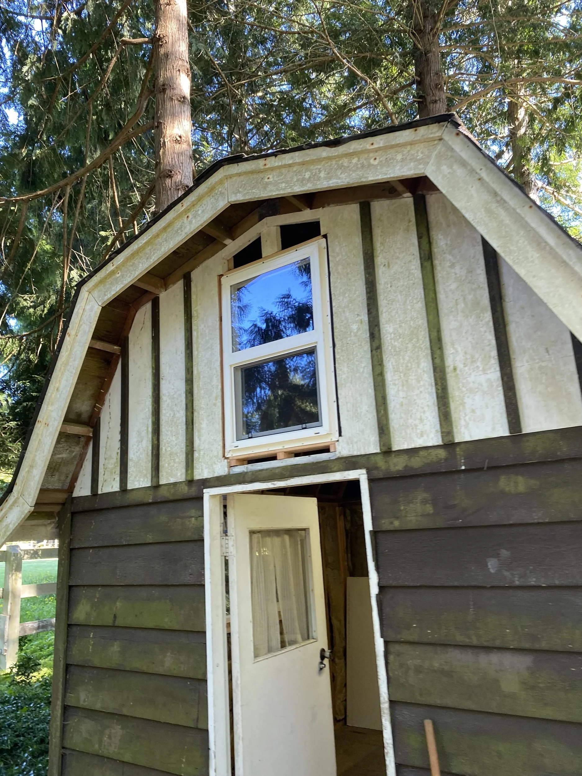Before: Evergreen Small Cabin