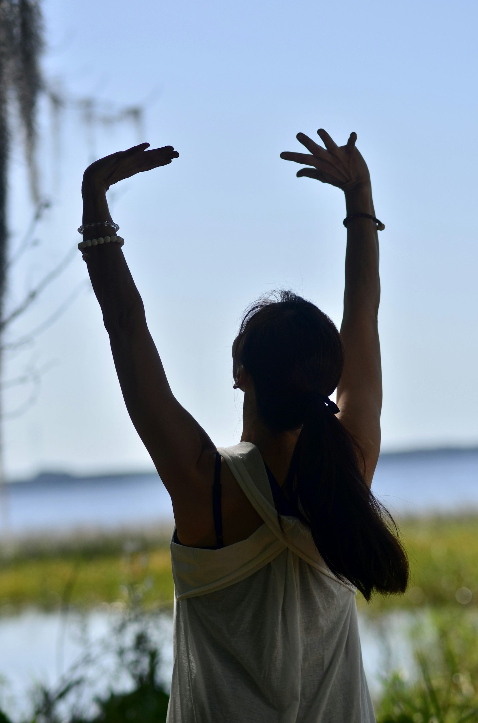 Qigong with Linda Anne Goulet