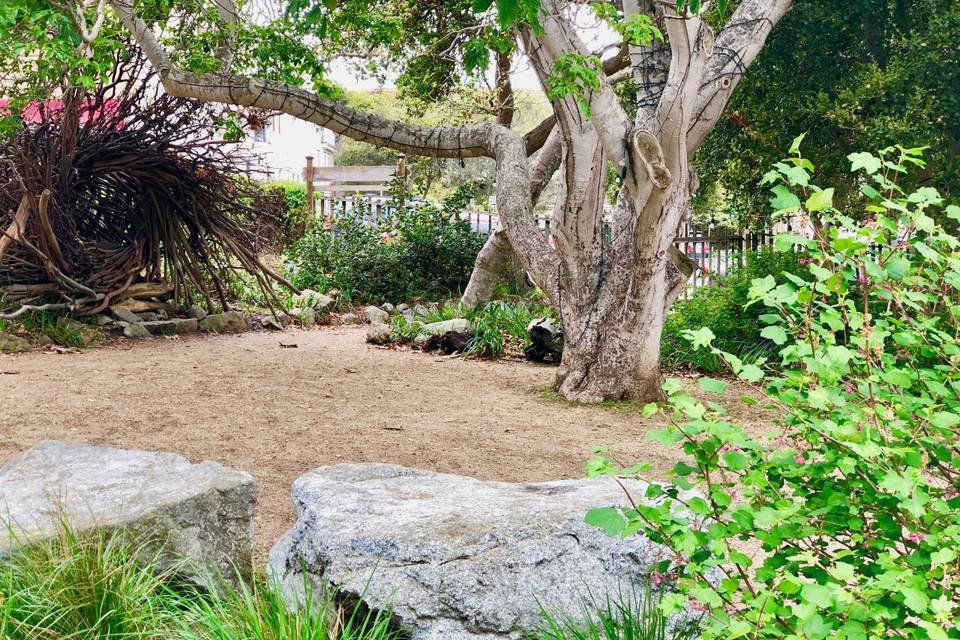 Firewise Gardening Panel: PG Museum and UC Master Gardeners