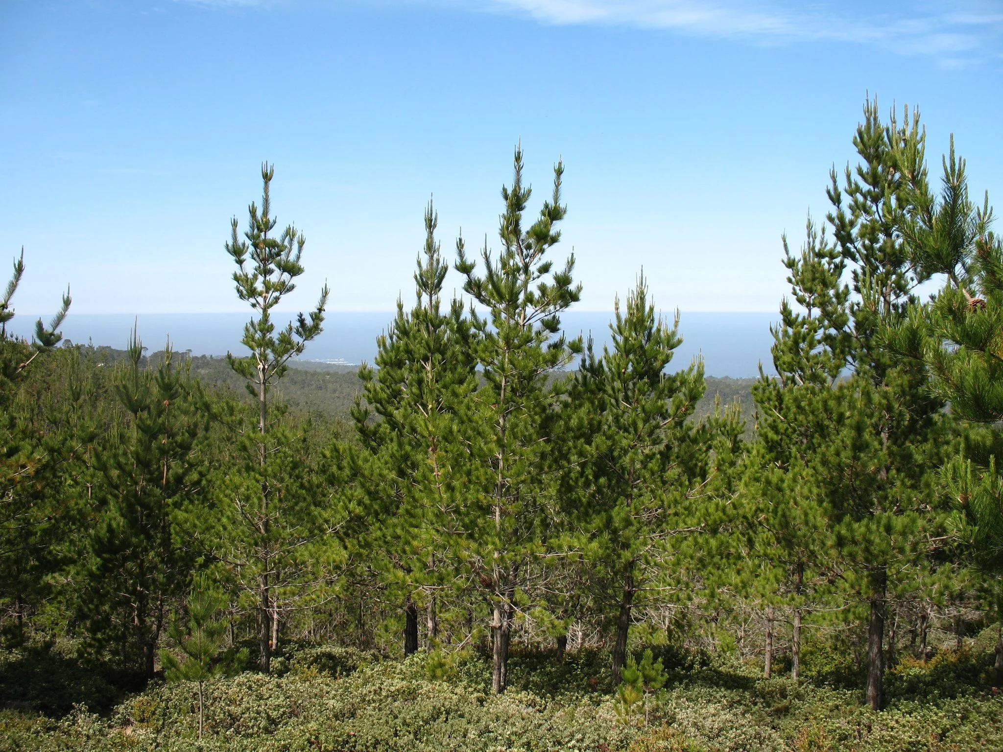 Lesson 2: Terrestrial Sketching at Huckleberry Hill