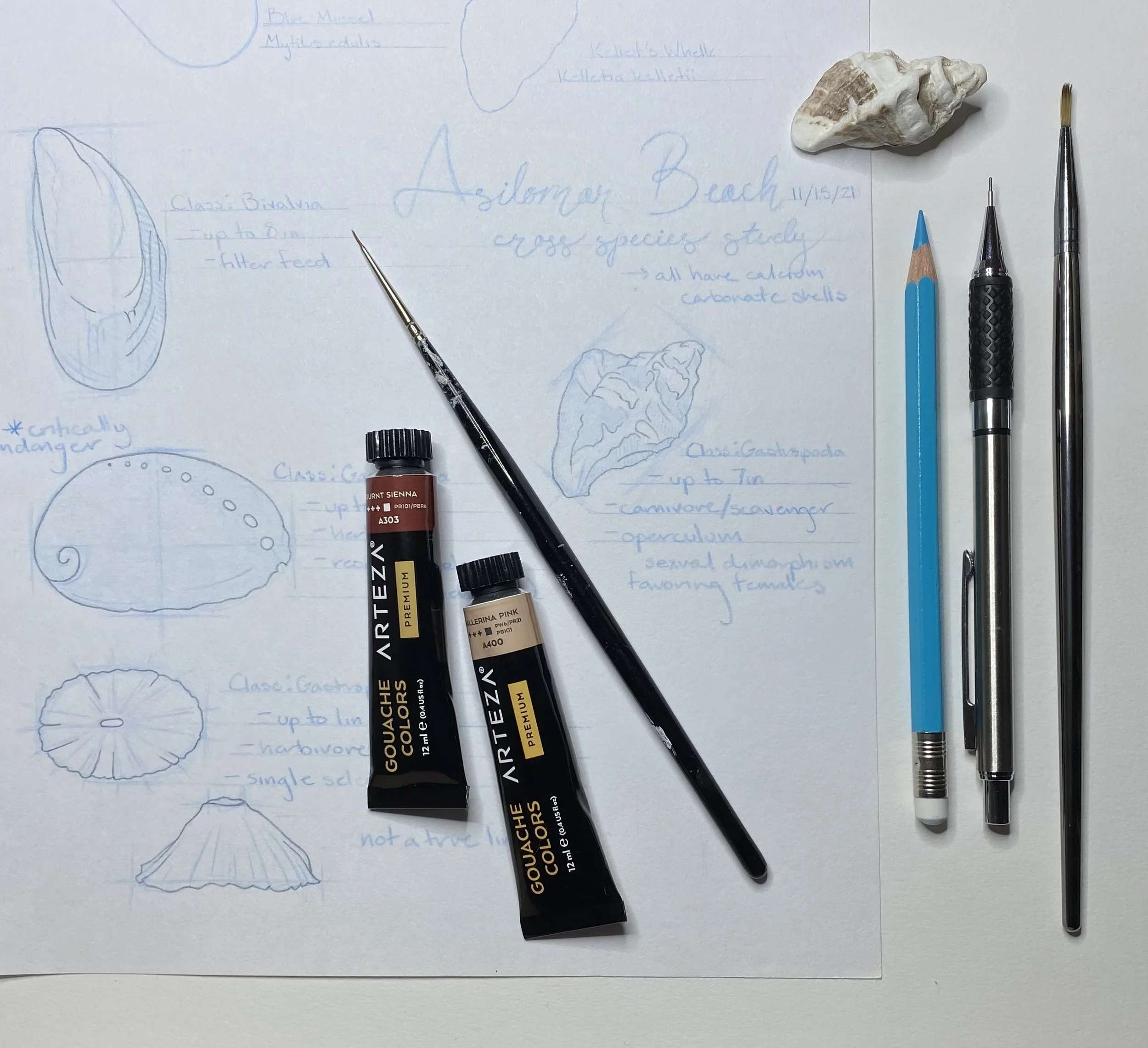 Field Sketching Workshops Class One