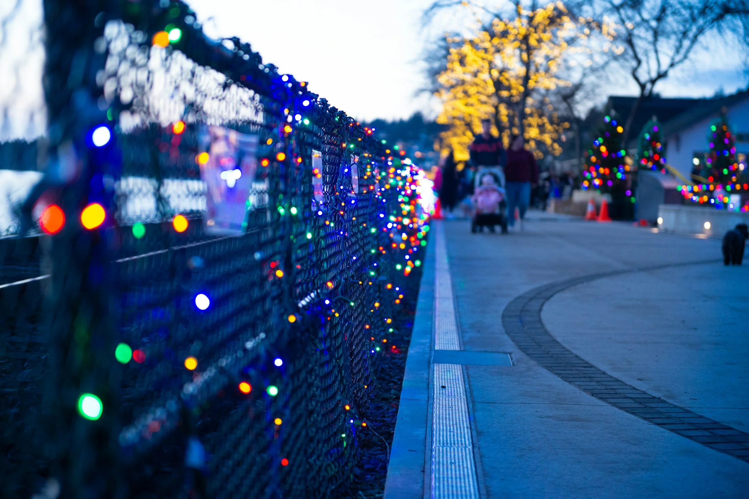 Outreach Event: PG Museum at the Stillwell's Holiday Fun in the Park