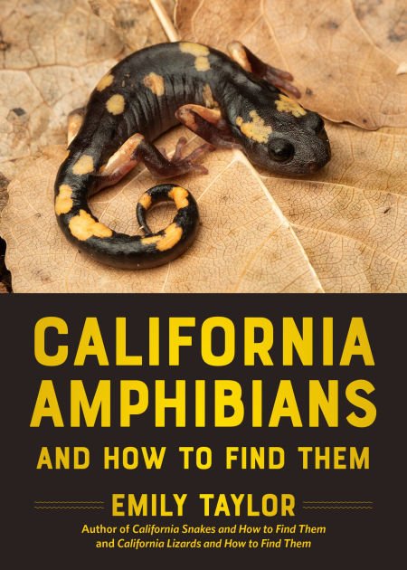 Book Talk: California Amphibians & How to Find Them with Dr. Emily Taylor