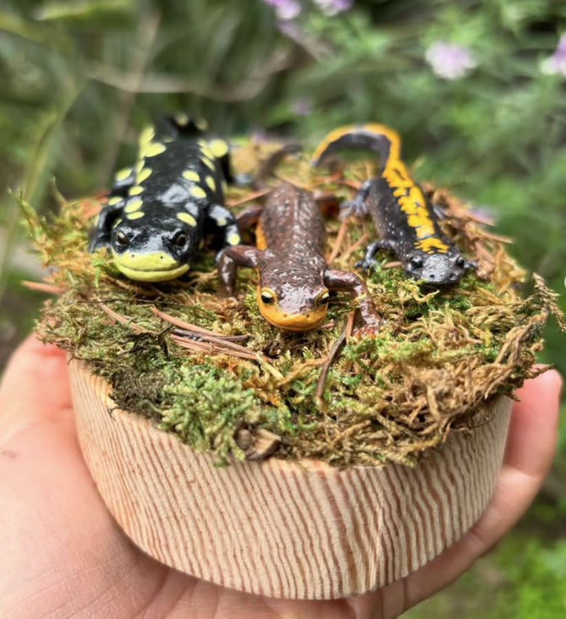 Mini Animal Painting Party with Reef Renders!