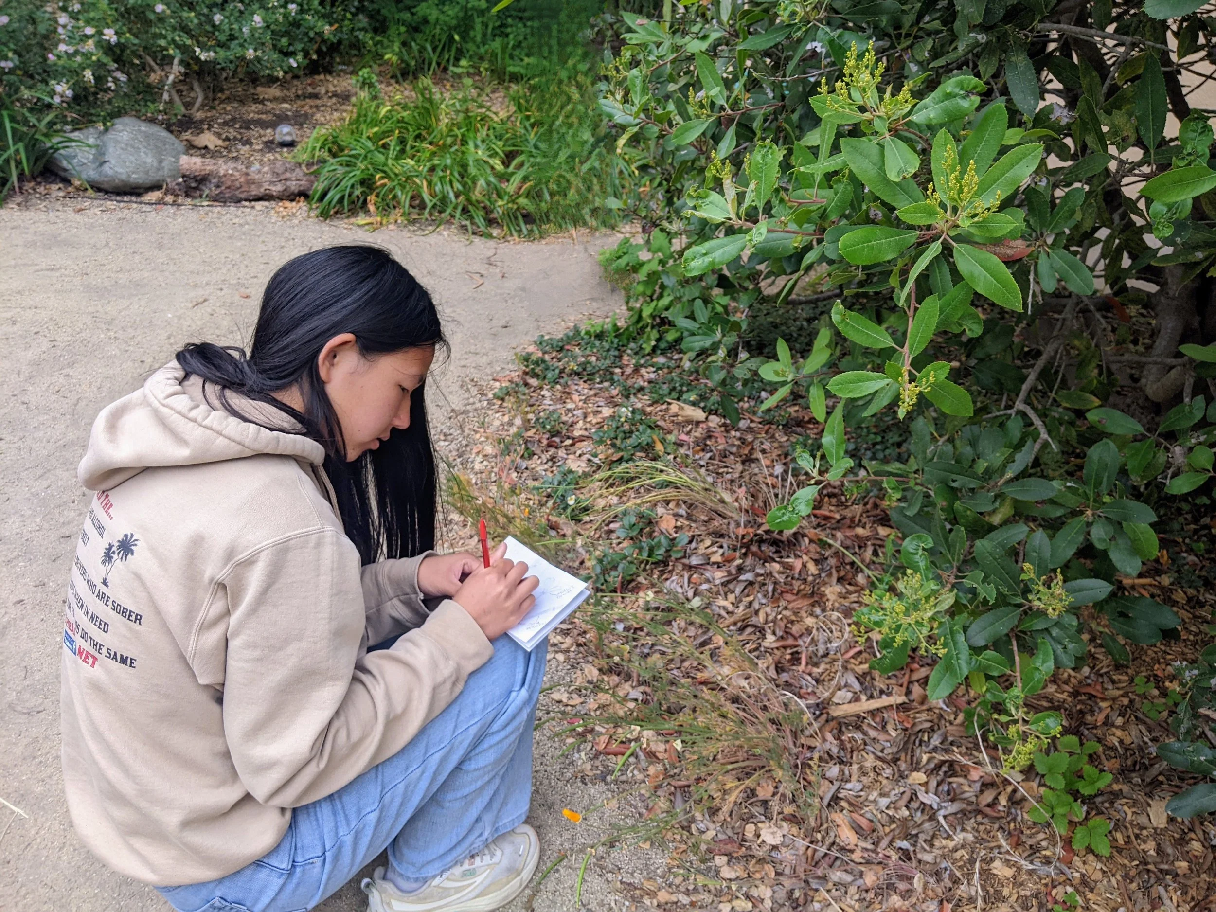 Monterey Airport Exhibit: A Lens into Conservation 