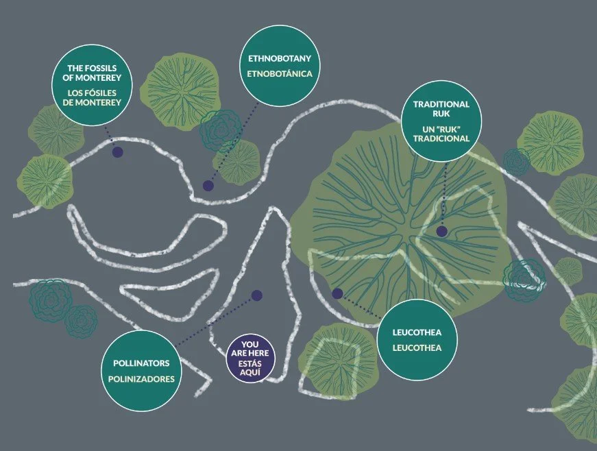 Garden Exhibit: Garden Opening 