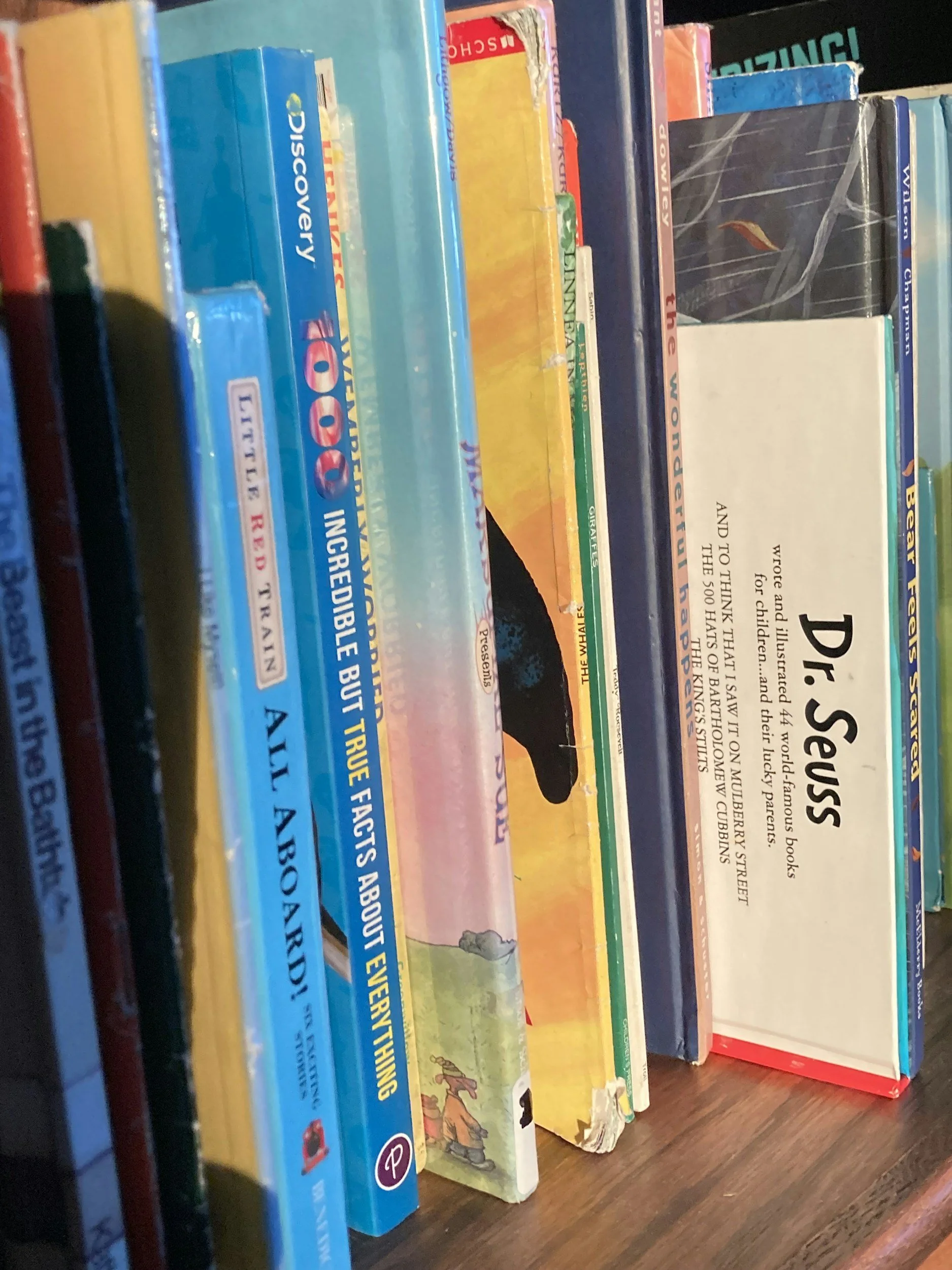 Outreach Event: PG Museum at PG Library