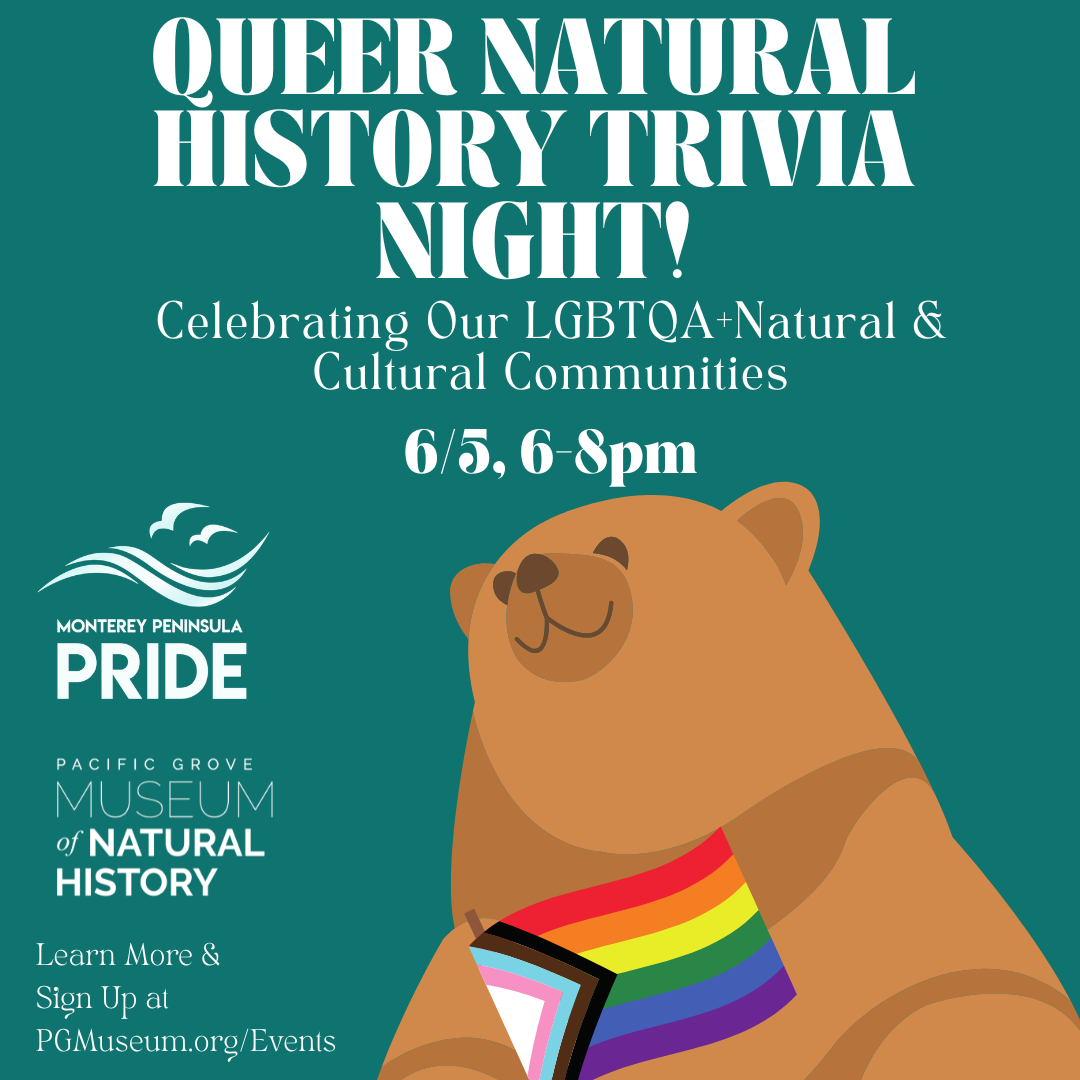 Queer Natural History Trivia Night