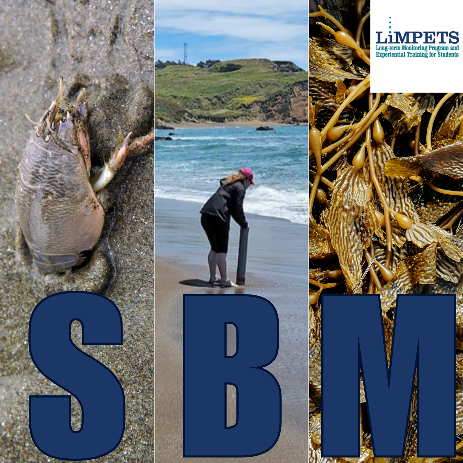 LiMPETS Teacher SBM Workshop