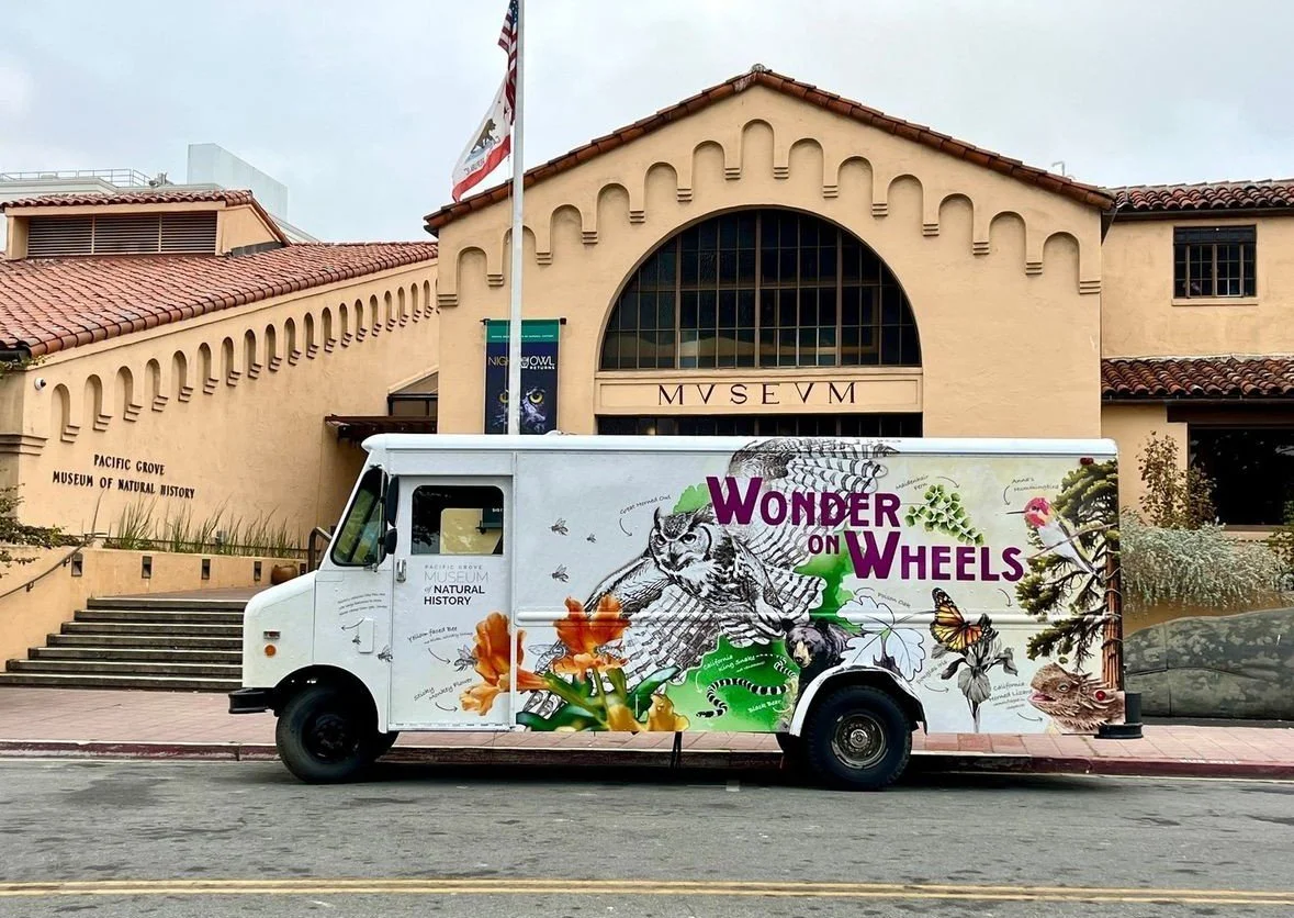Wonder on Wheels at Carmel Plaza