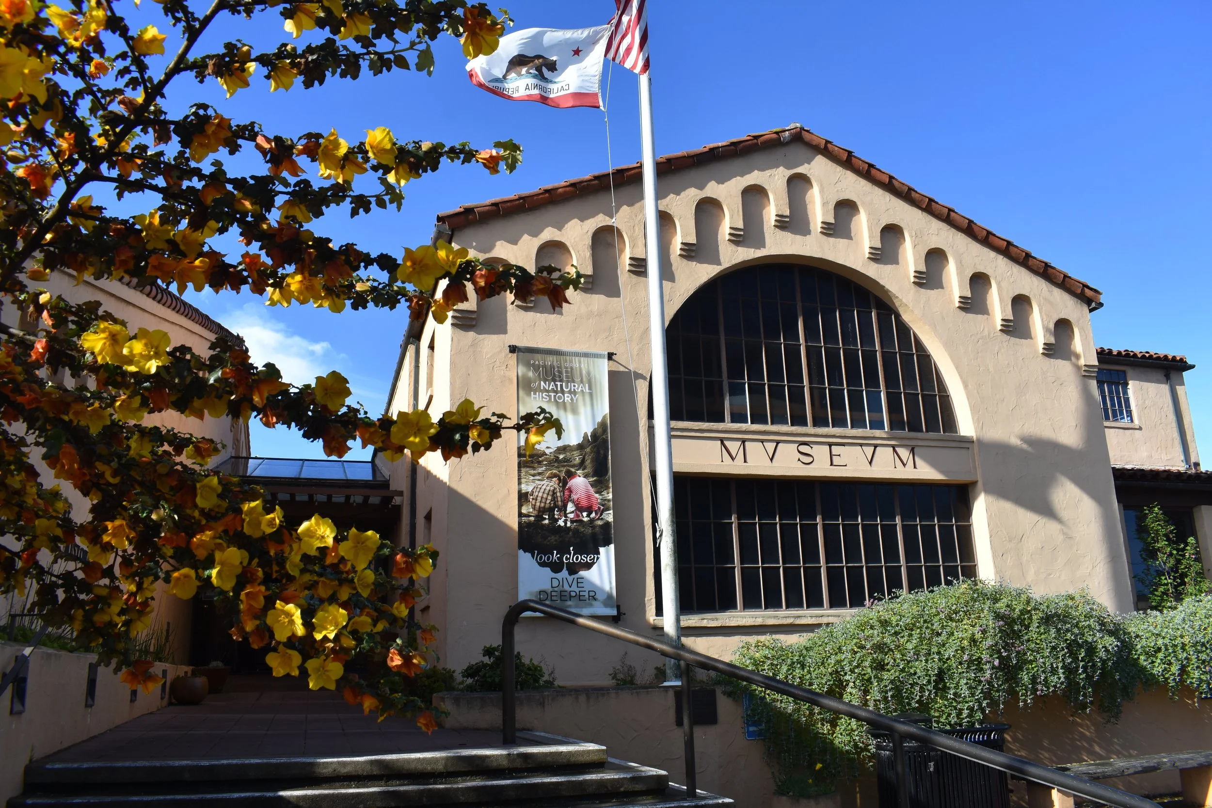Museum_External_4_4_2024.JPG