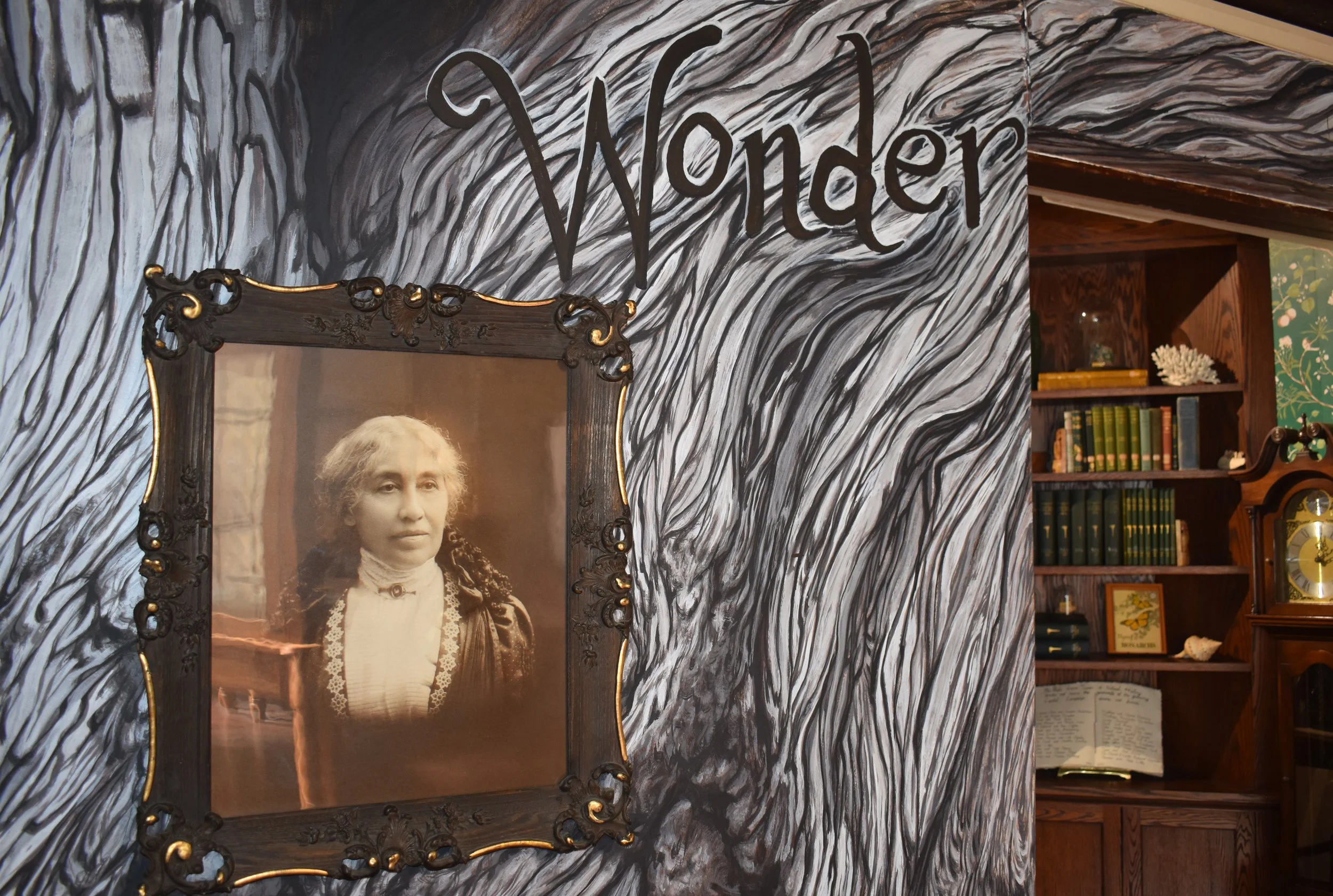 Wonder_web_1 (2).JPG