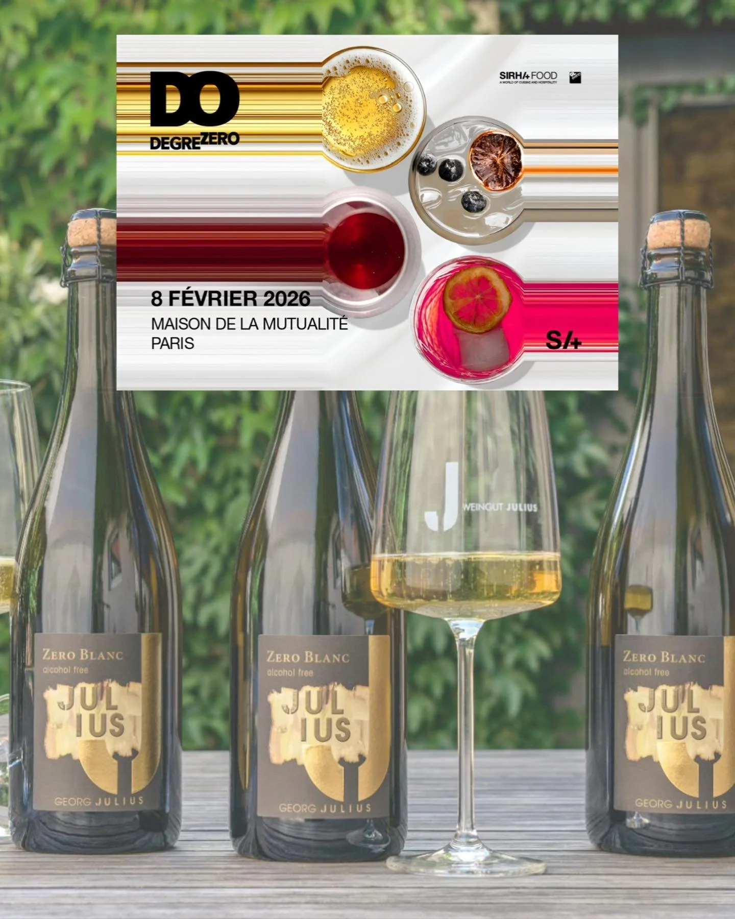 Je serai pr&eacute;sente &agrave; DEGRE ZERO aux c&ocirc;t&eacute;s de Christine de @weingutjulius 🌱 pour vous pr&eacute;senter leurs d&eacute;licieuses cuv&eacute;es sans alcool 🍇

Professionnels, rendez-vous le Dimanche 08 F&eacute;vrier &agrave;