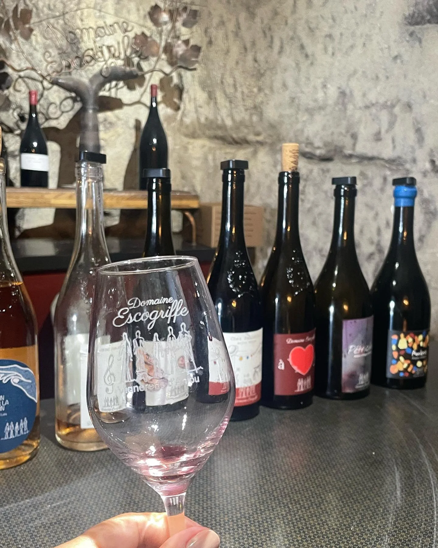 Petite vir&eacute;e dans la vall&eacute;e de la Loire 🍇

@vitivinigram @denisia.mp ❤️

@ansodelles @domaine_escogriffe